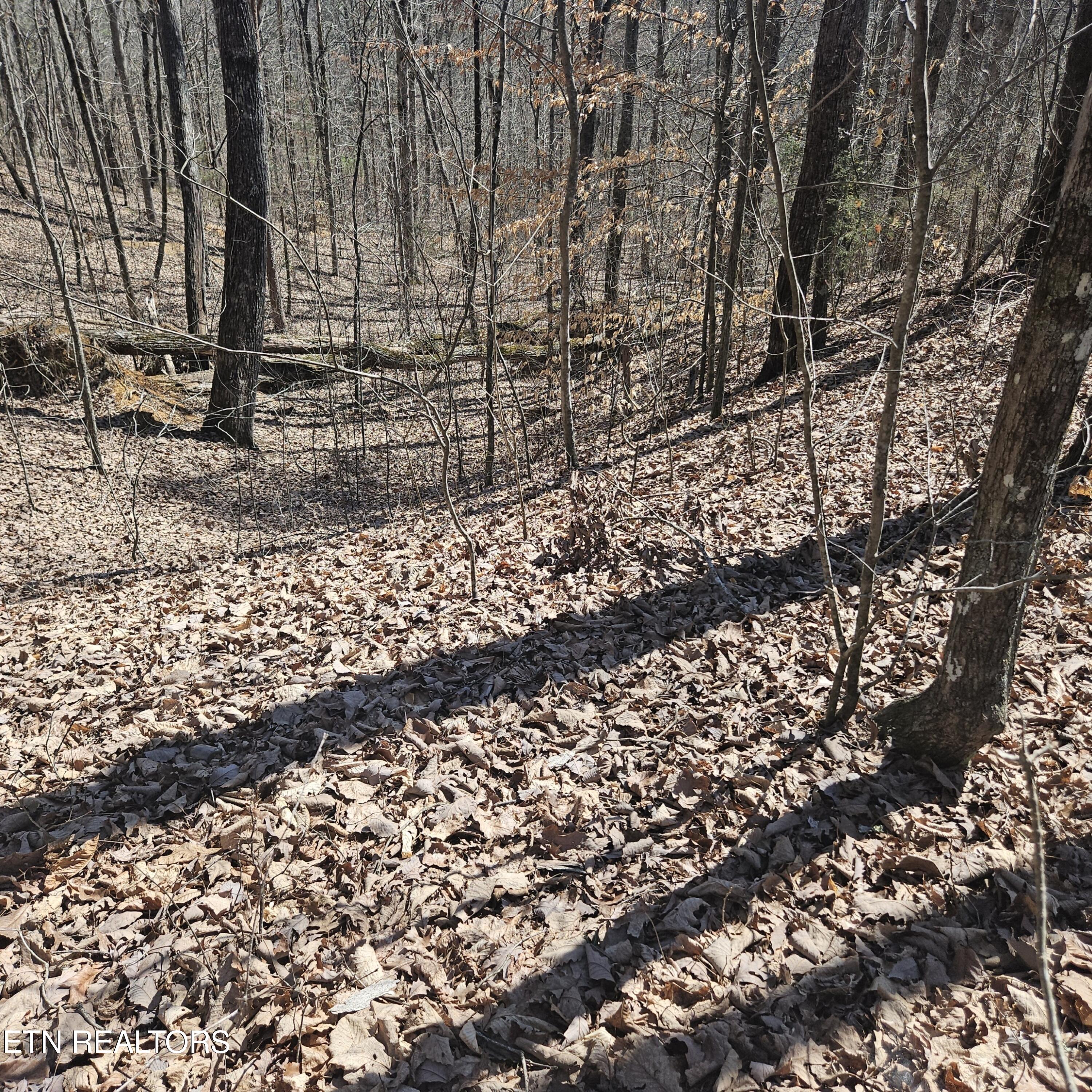 Tellico Plains, Tennessee, 37385, United States, ,Residential,For Sale,1922105