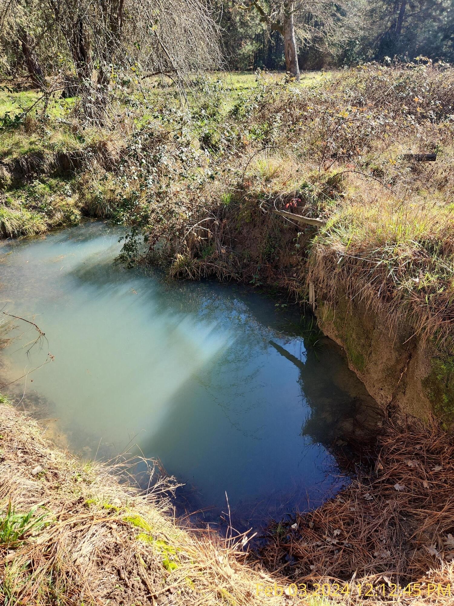 Grants Pass, Oregon, 97526, United States, 3 Bedrooms Bedrooms, ,2 BathroomsBathrooms,Residential,For Sale,1982829