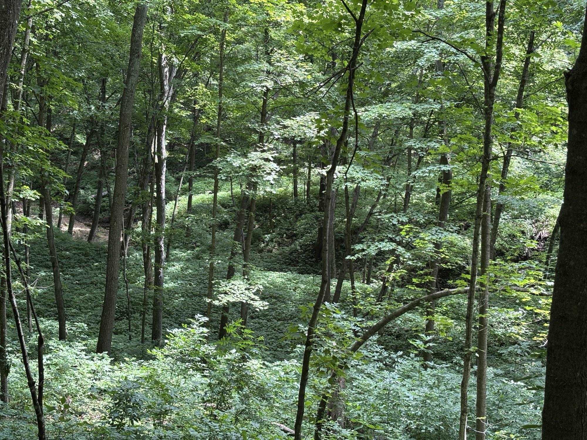 Gays Mills, Wisconsin, 54631, United States, ,Residential,For Sale,1928729