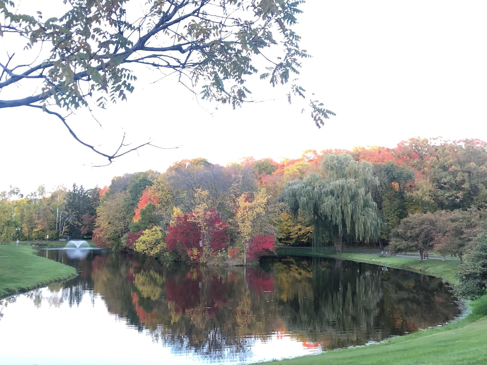 Deephaven, Minnesota, 55331, United States, 5 Bedrooms Bedrooms, ,5 BathroomsBathrooms,Residential,For Sale,1998829