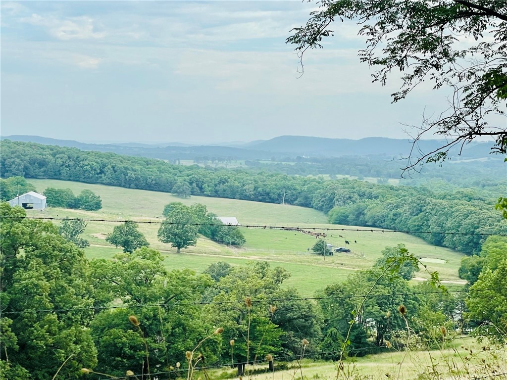 Berryville, Arkansas, 72616, United States, 6 Bedrooms Bedrooms, ,4 BathroomsBathrooms,Residential,For Sale,1988341