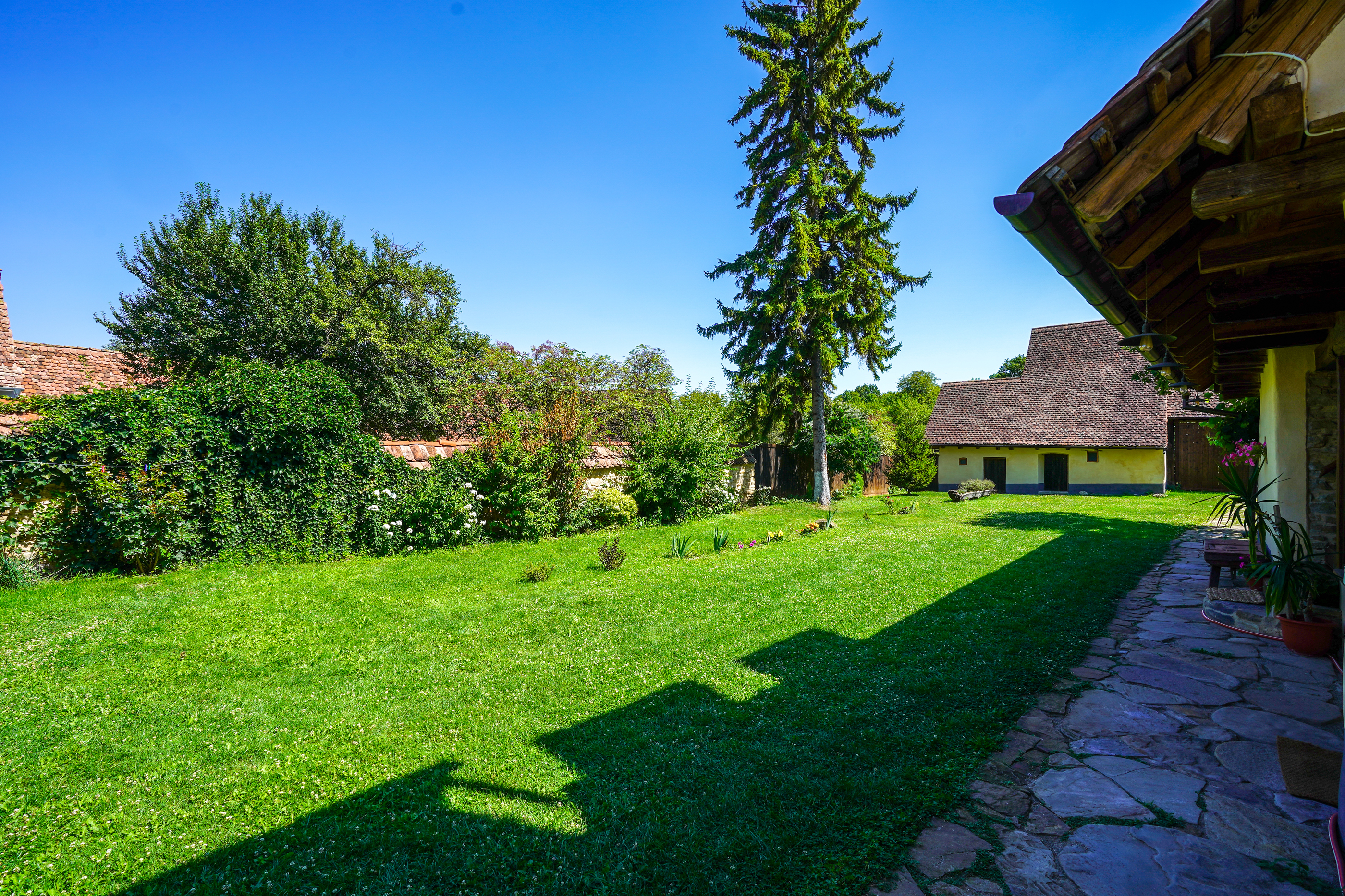  Restored Authentic Saxon House in Viscri, Between Heritage and Nature - 物件實景