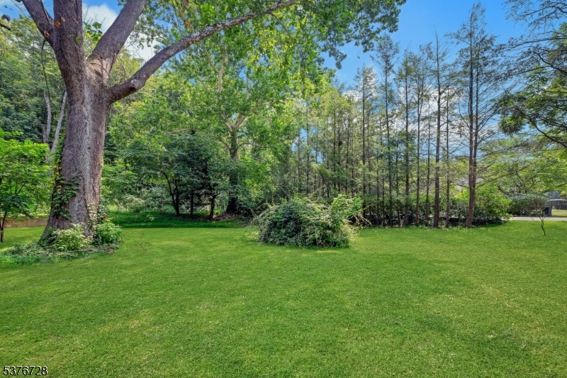 Peapack Gladstone Boro, New Jersey, 07977, United States, 4 Bedrooms Bedrooms, ,3 BathroomsBathrooms,Residential,For Sale,1990359