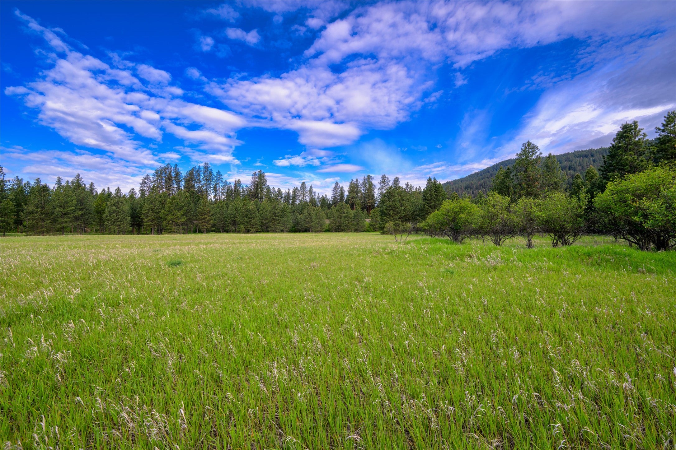 St Regis, Montana, 59866, United States, ,Land,For Sale,1848990