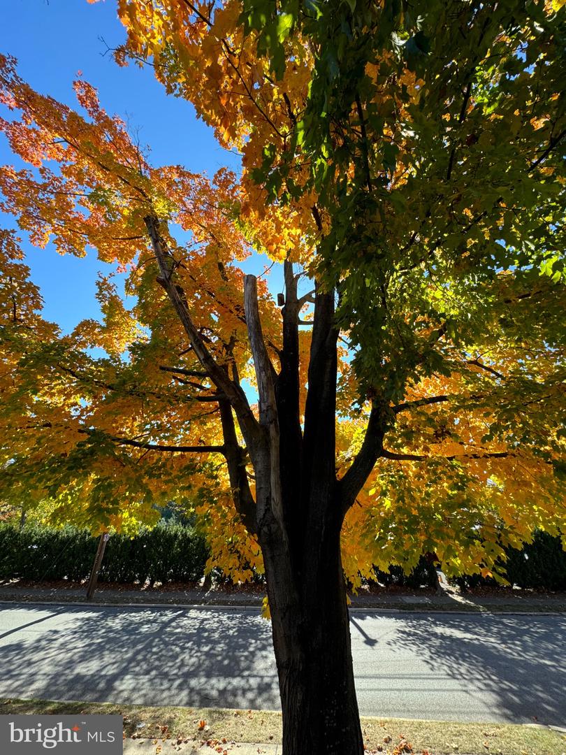 Erdenheim, Pennsylvania, 19038, United States, 4 Bedrooms Bedrooms, ,3 BathroomsBathrooms,Residential,For Sale,2002080