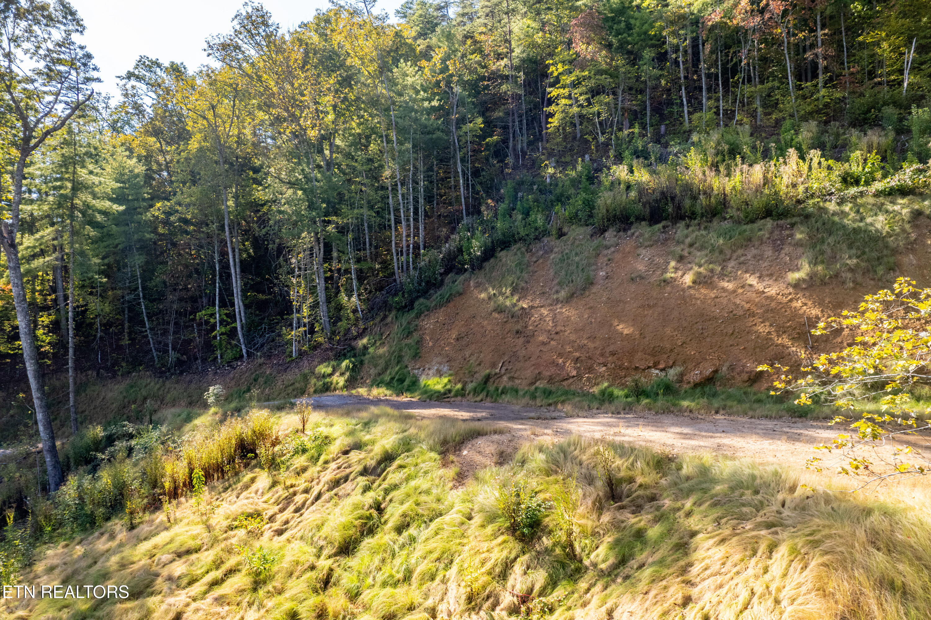 Townsend, Tennessee, 37882, United States, ,Land,For Sale,1982643