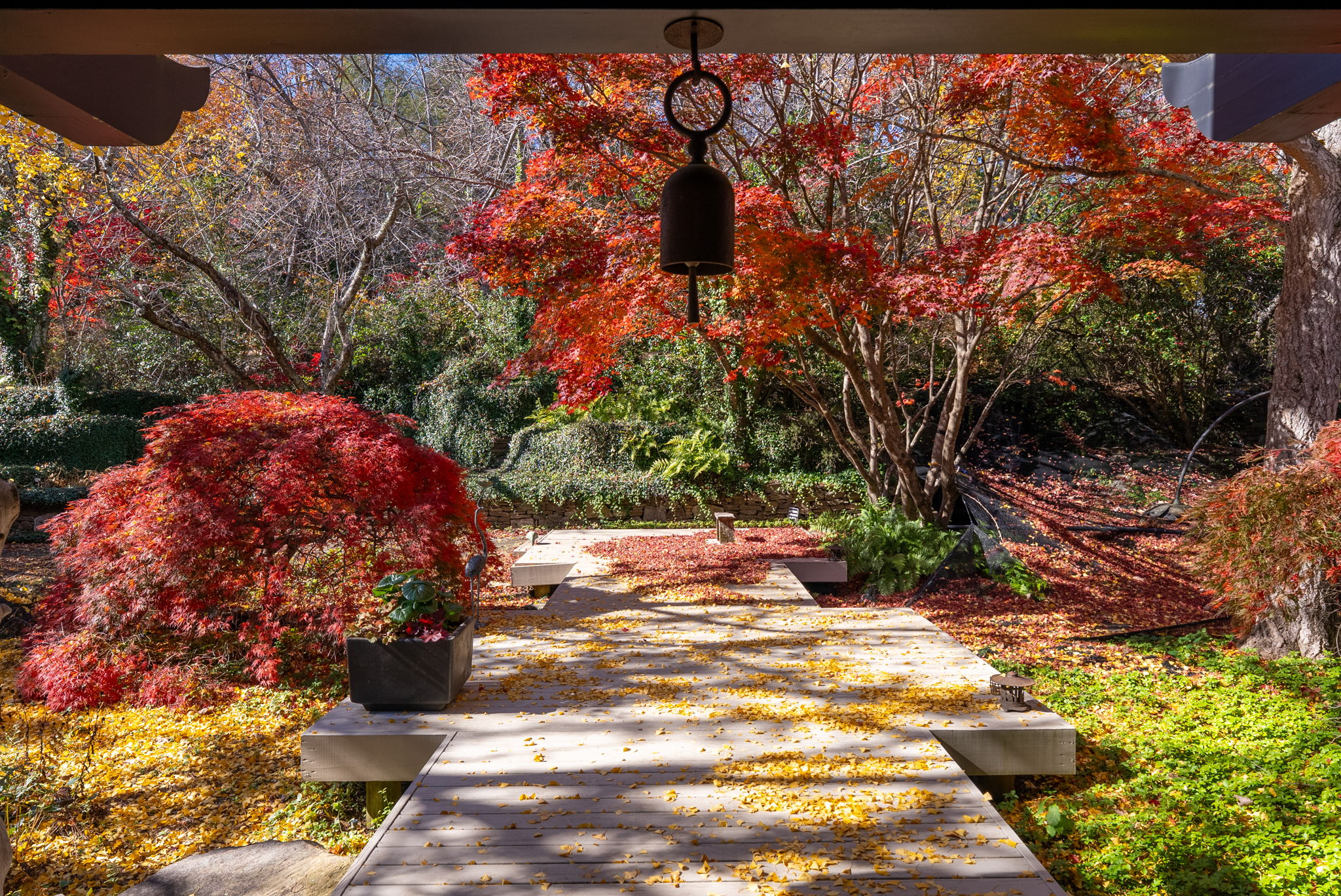  110 Huckleberry Ridge, Greenville, SC 29609 - 物件實景
