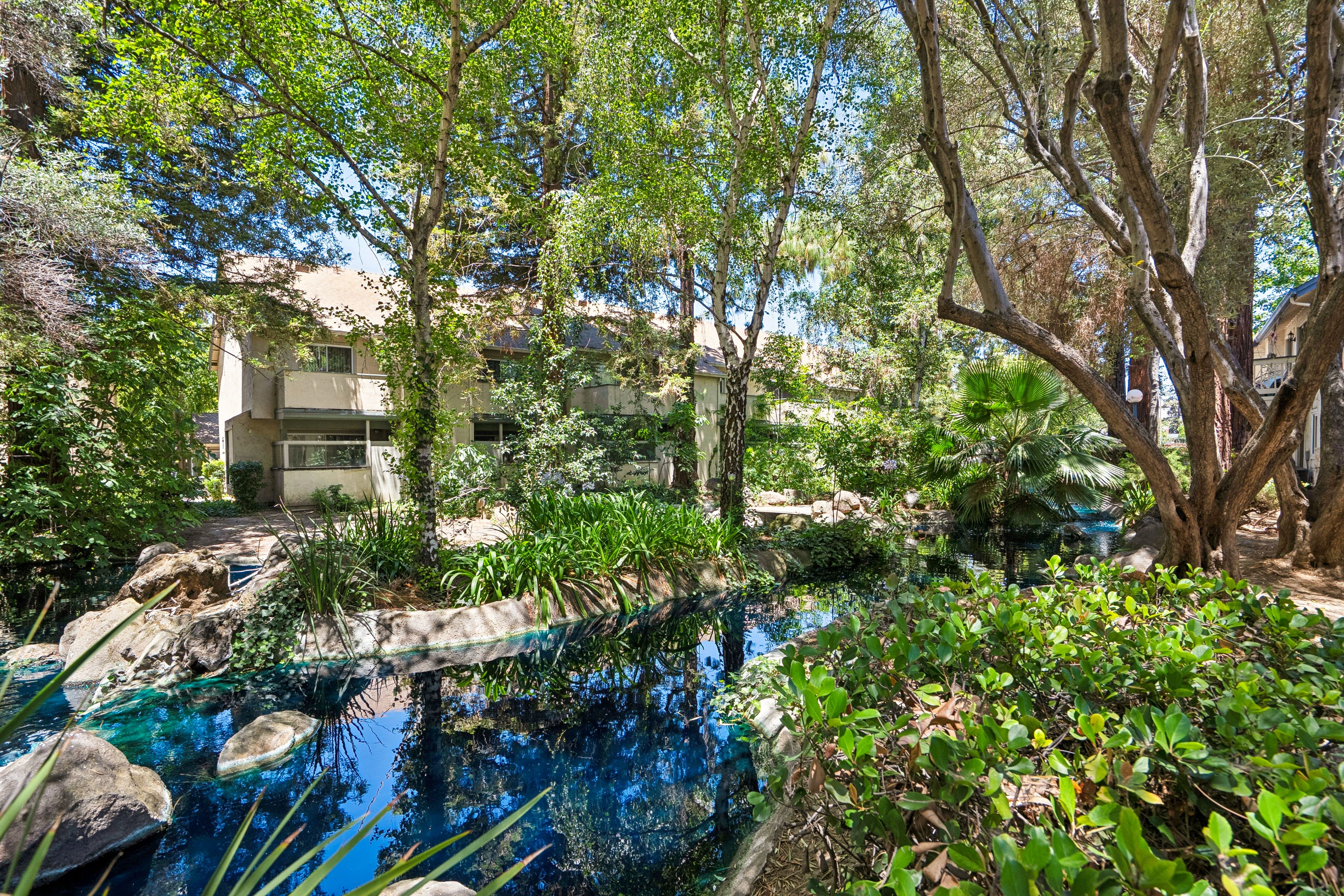  Comfort, Convenience, and Amenities in The Heart of San Jose - 物件實景