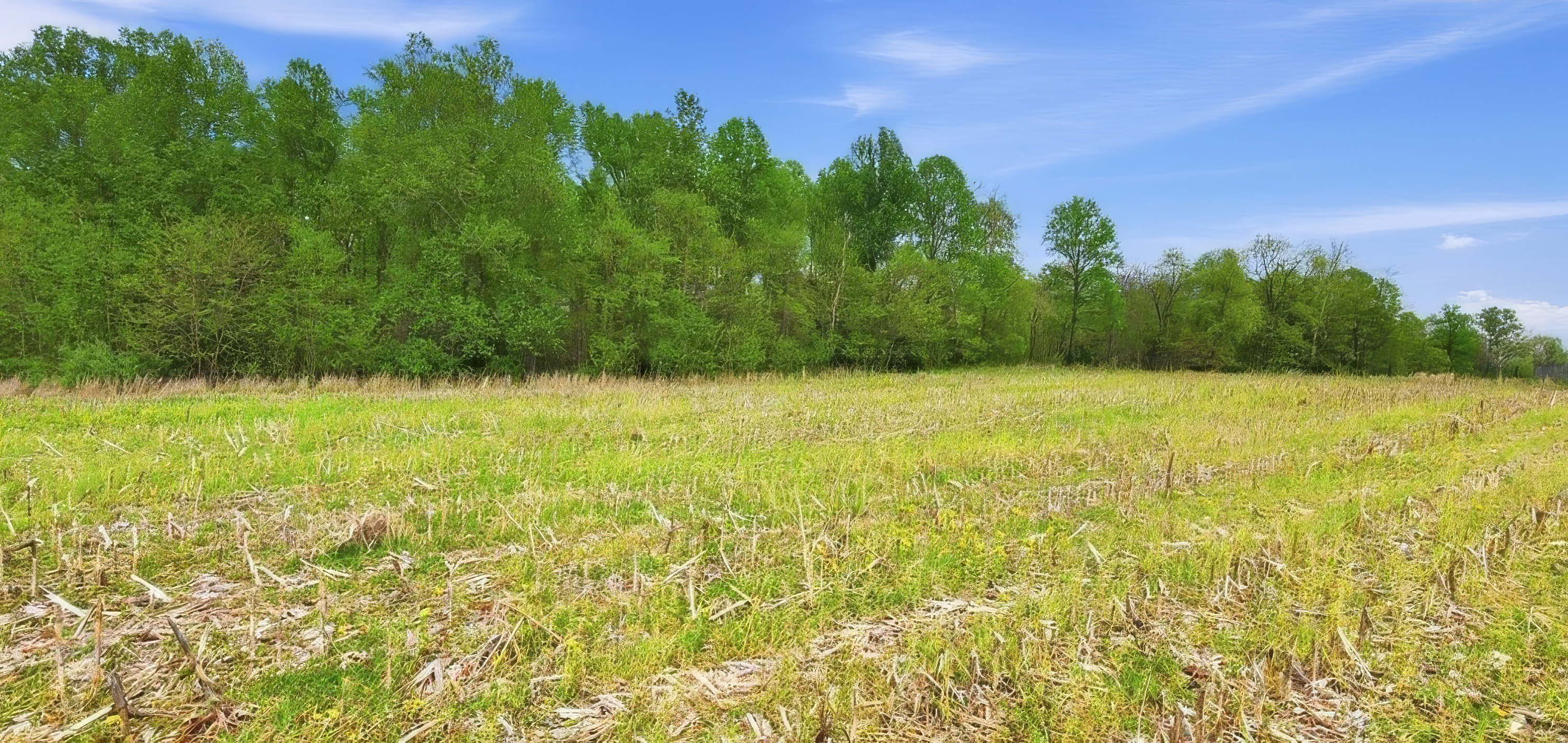  3850 Smith Lane, La Grange, KY 40031 - 物件實景