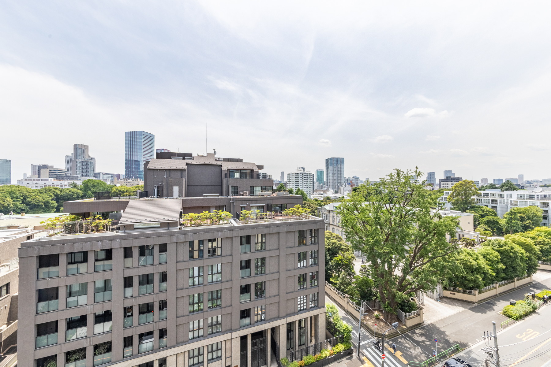  MITA GARDEN HILLS PARK MANSION - 物件實景