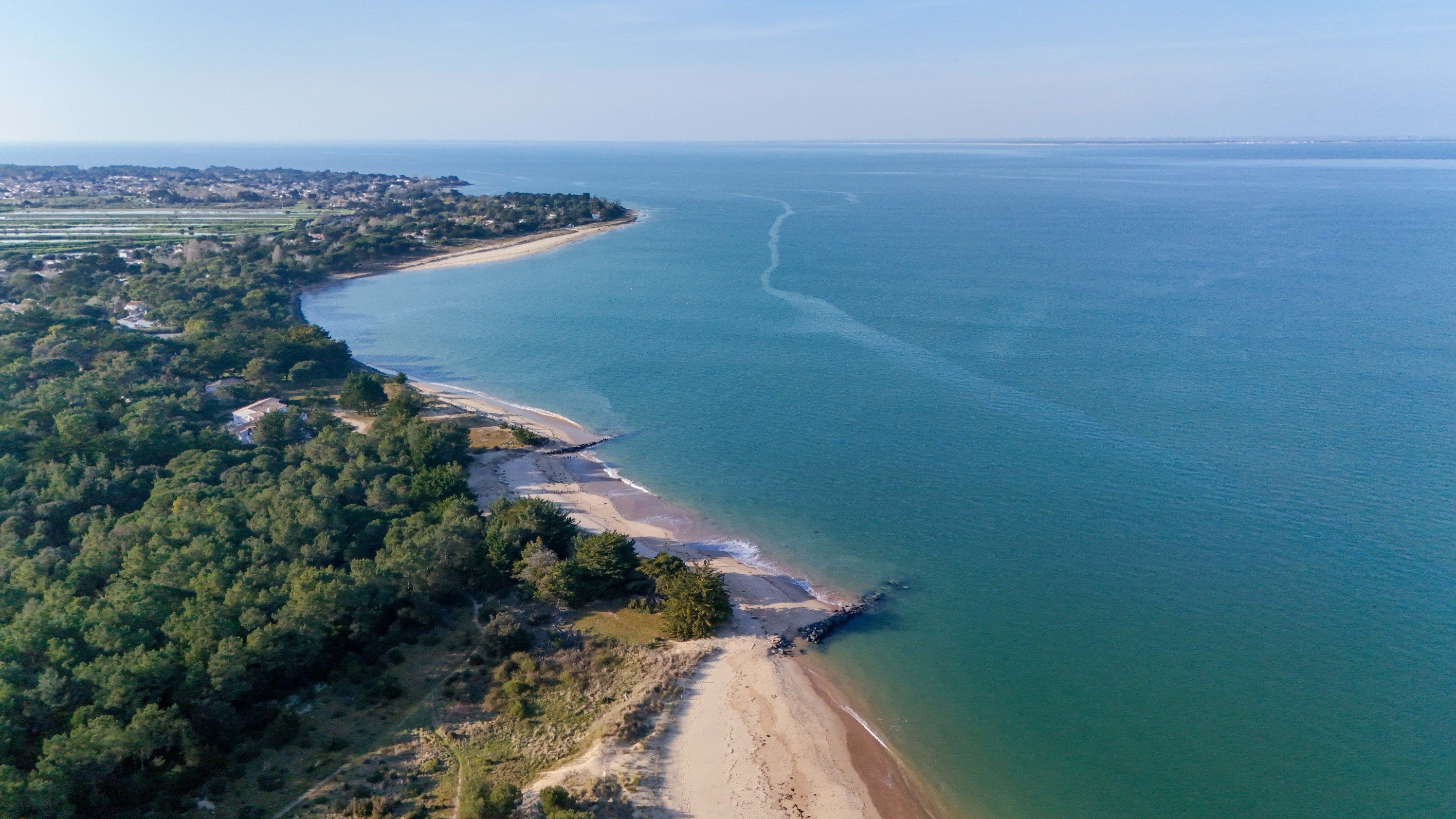  Île de Ré – Les Portes-en-Ré - Exceptional Property Nestled in a Pine Forest, J… - 物件實景