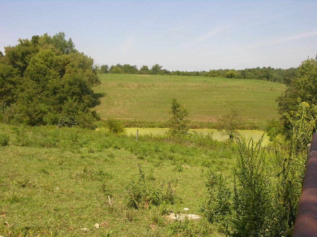 1400 Curtis Pike, Richmond, Kentucky, 40475, United States, ,Land,For Sale,1400 Curtis Pike,1616978