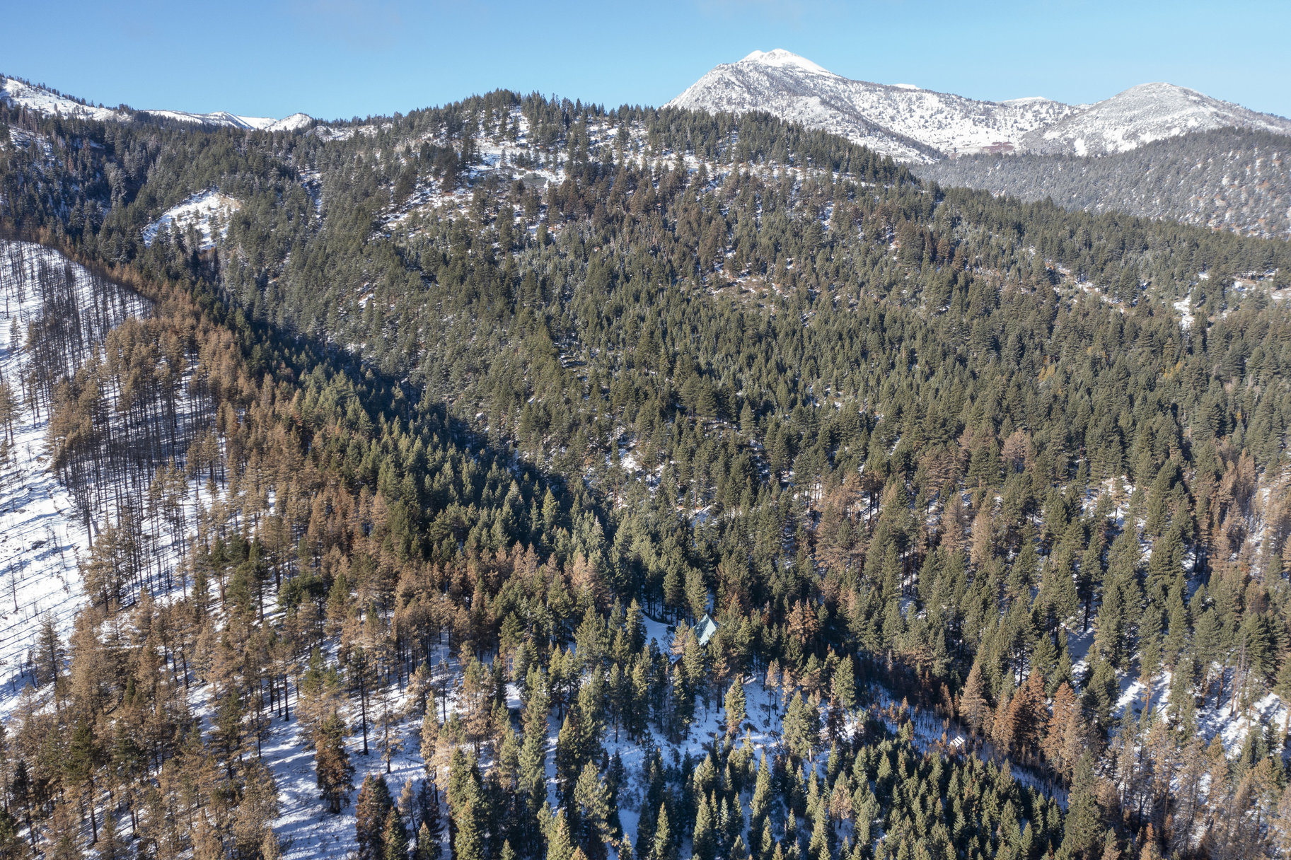  Sierra Sanctuary Lodge on 40 Acres - 物件實景