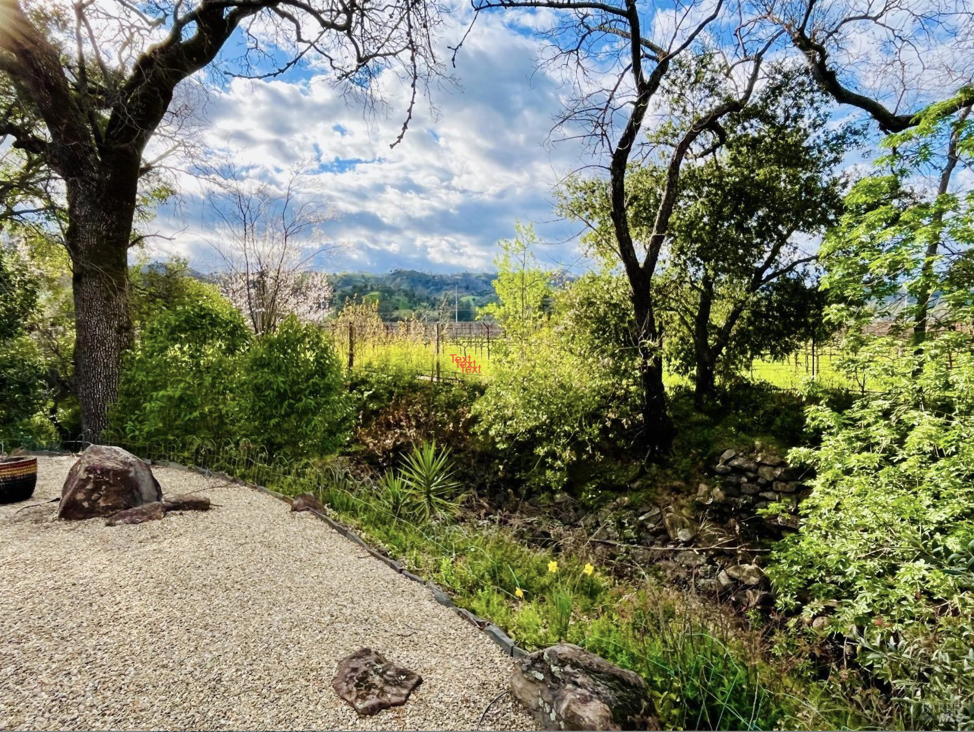  1261 Spring Brook Ct - 物件實景