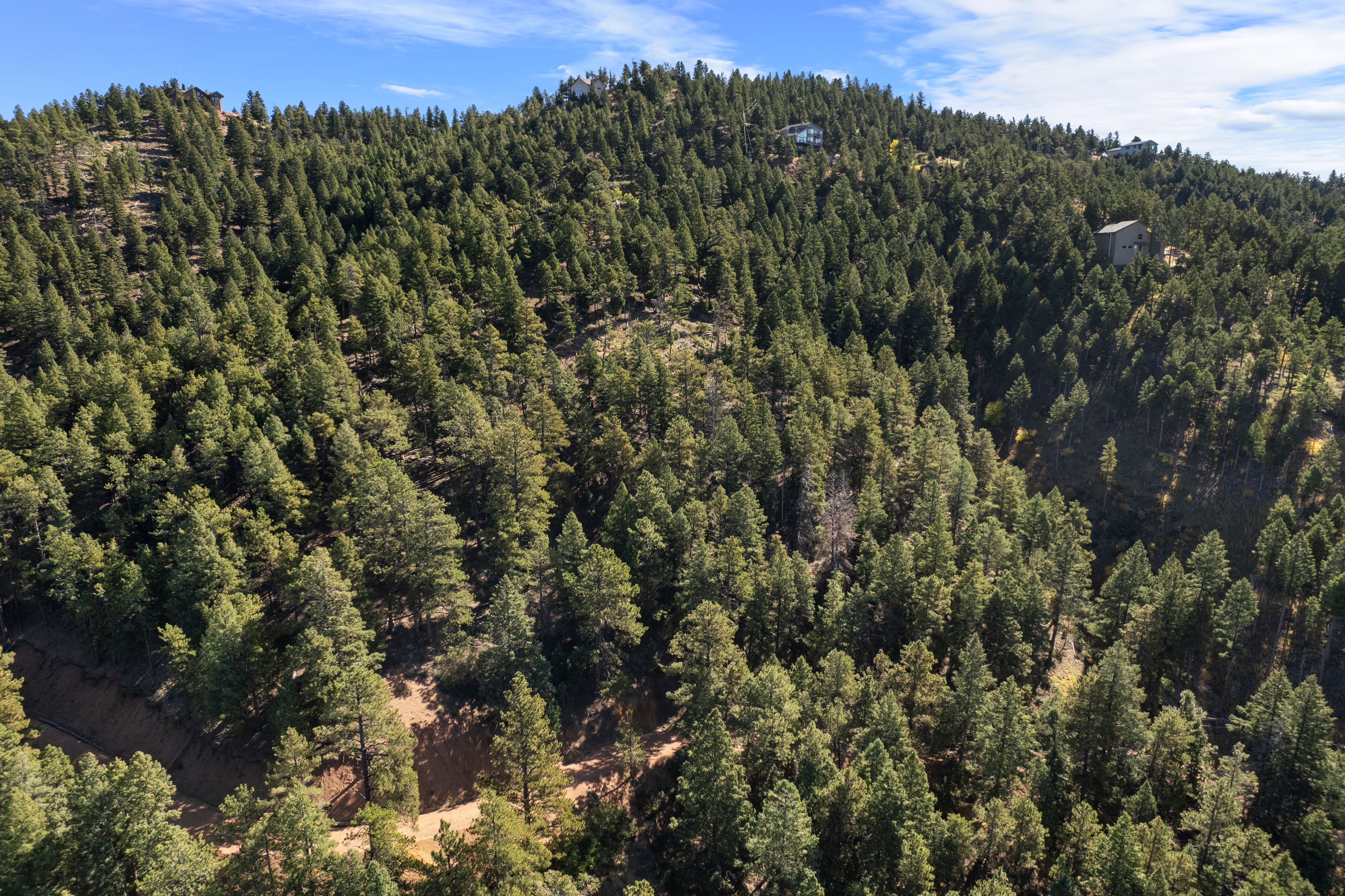  Nestled in the serene Woodmoor Mountain - 物件實景