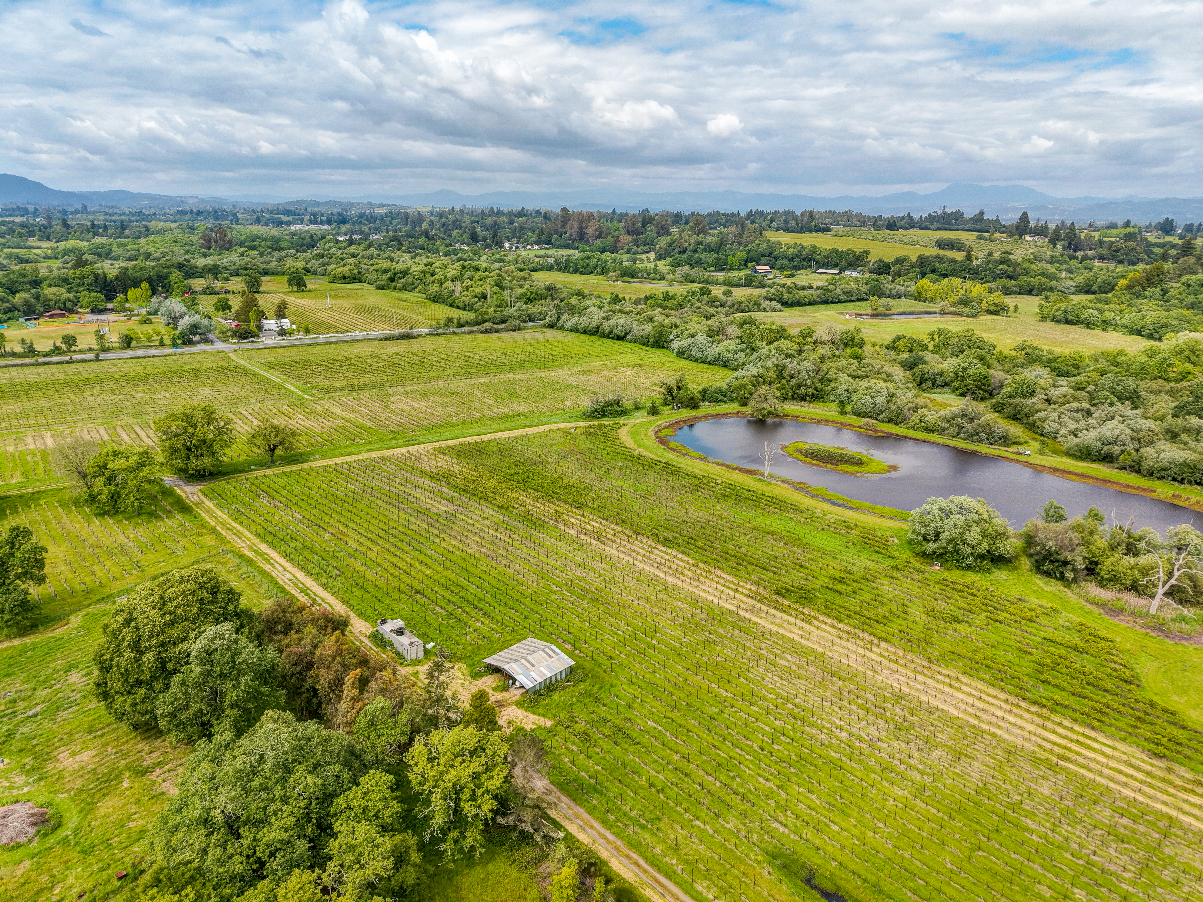  9700 Mill Station Road, Sebastopol, CA 95472 - 物件實景