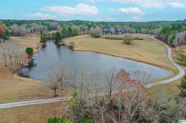 Calera, Alabama, 35040, United States, 5 Bedrooms Bedrooms, ,6 BathroomsBathrooms,Residential,For Sale,2006341