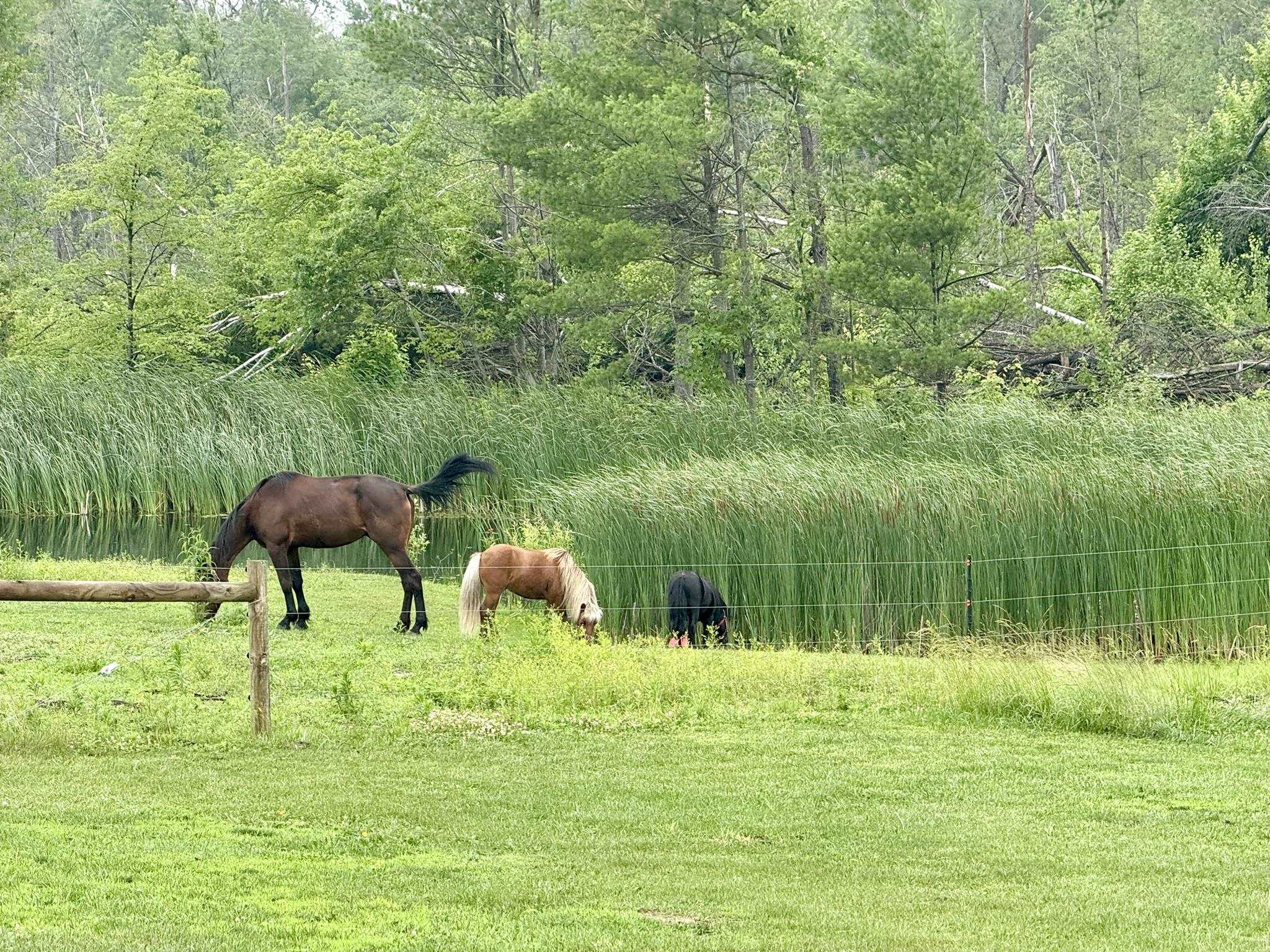 Warrens, Wisconsin, 54666, United States, 4 Bedrooms Bedrooms, ,3 BathroomsBathrooms,Residential,For Sale,1975252