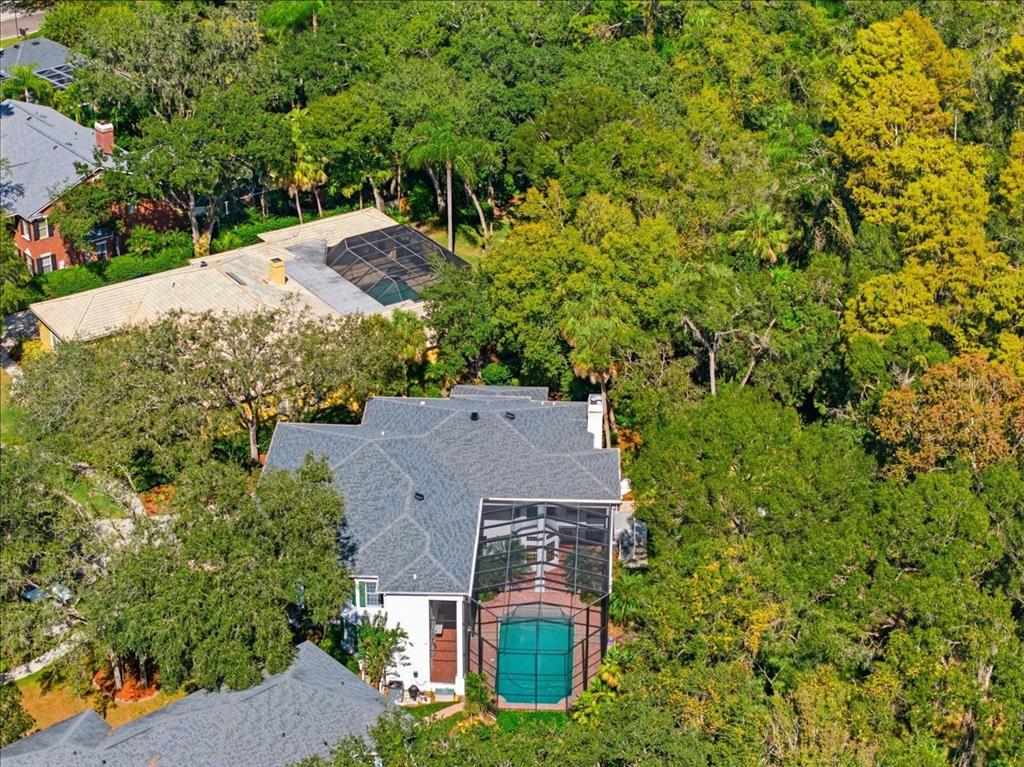 Tampa, Florida, 33647, United States, 4 Bedrooms Bedrooms, ,6 BathroomsBathrooms,Residential,For Sale,1989549