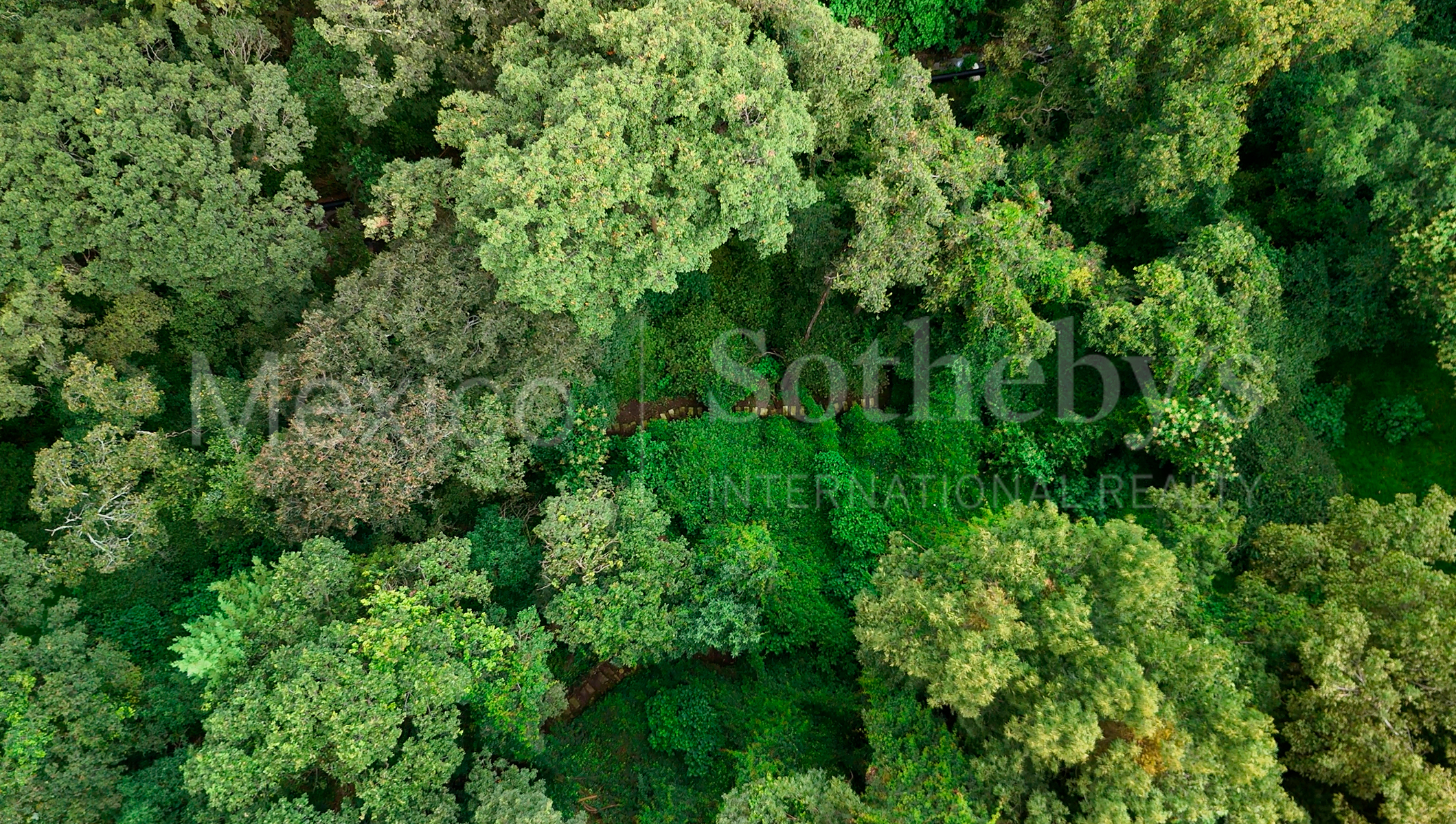  Terreno En Venta En Lomas De Vista Hermosa, Cuajimalpa - 物件實景