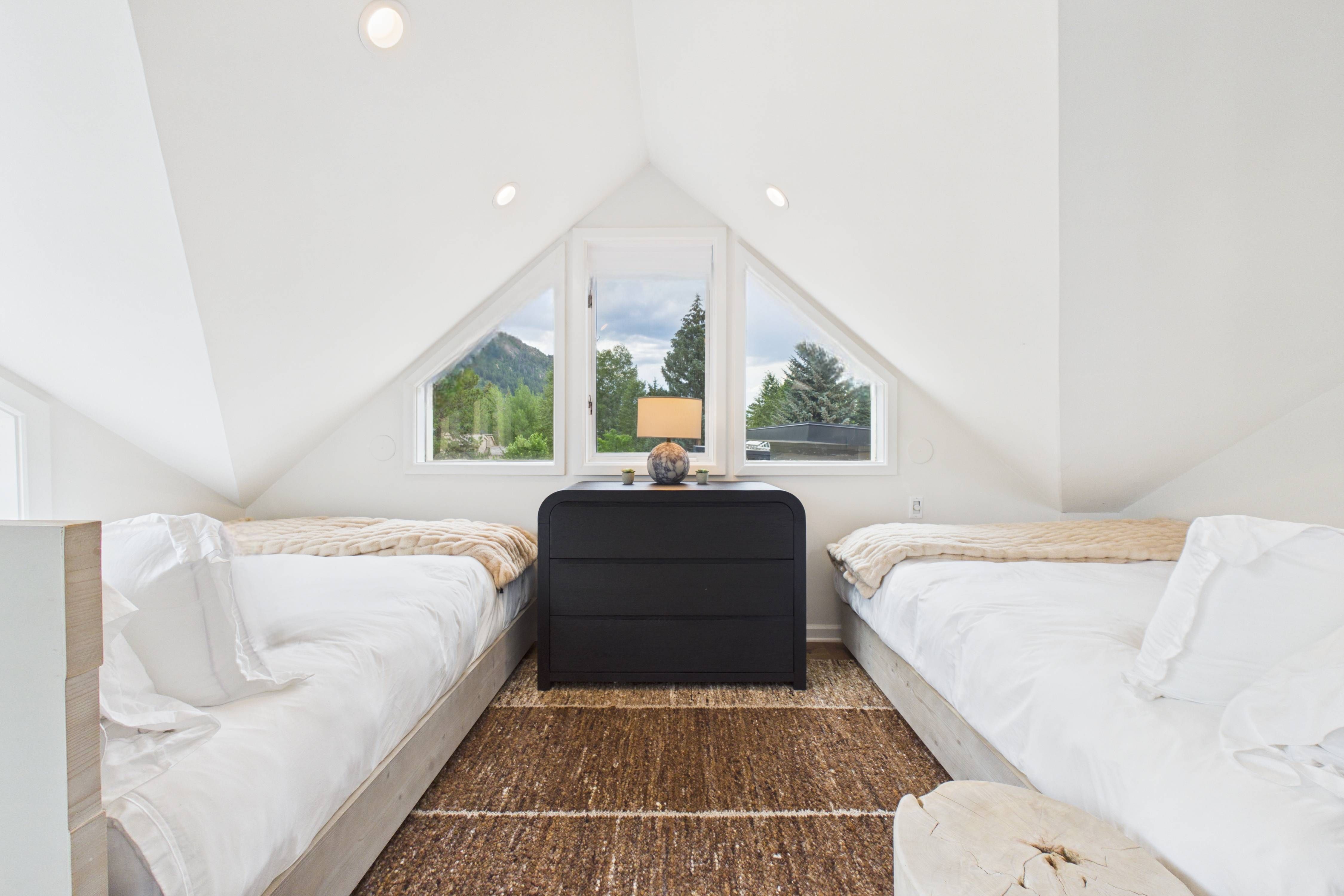  915 East Hopkins Avenue, Aspen, CO 81611 - 物件實景