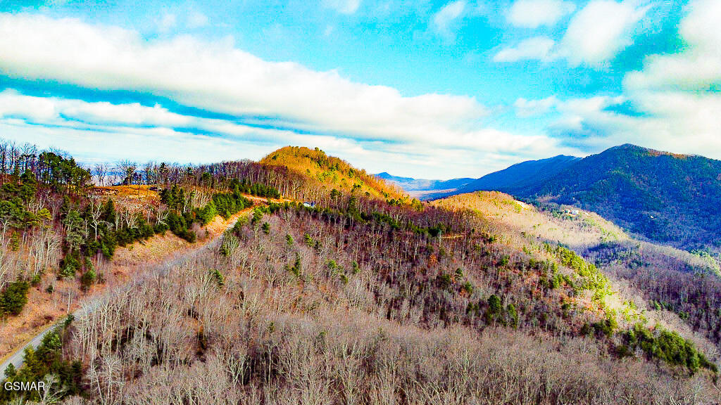 Sevierville, Tennessee, 37876, United States, ,Land,For Sale,2008093