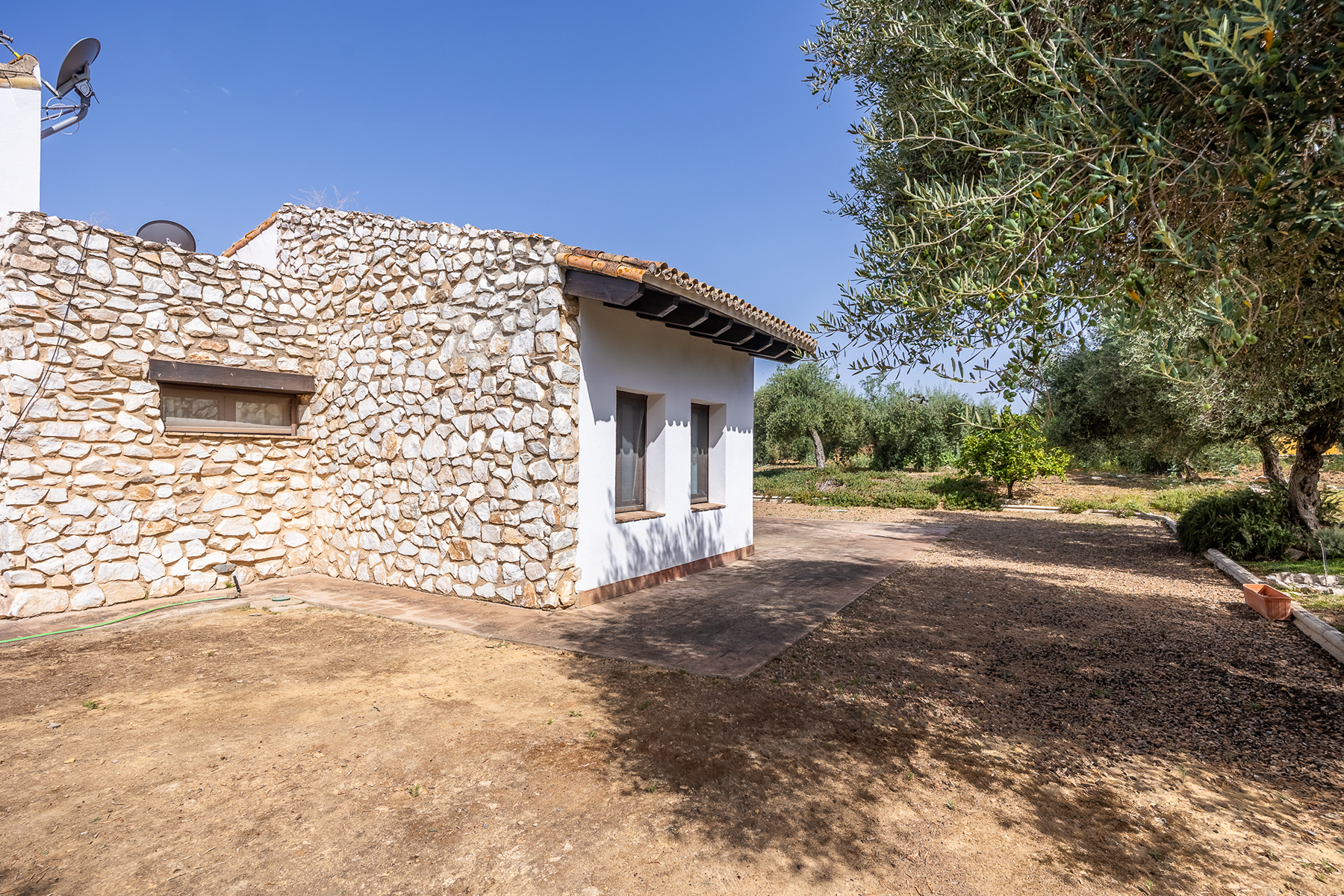  Exclusive equestrian estate next to the Pre-Coto de Doñana - 物件實景