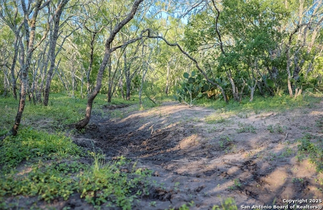 Beeville, Texas, 78102, United States, ,Land,For Sale,1987923