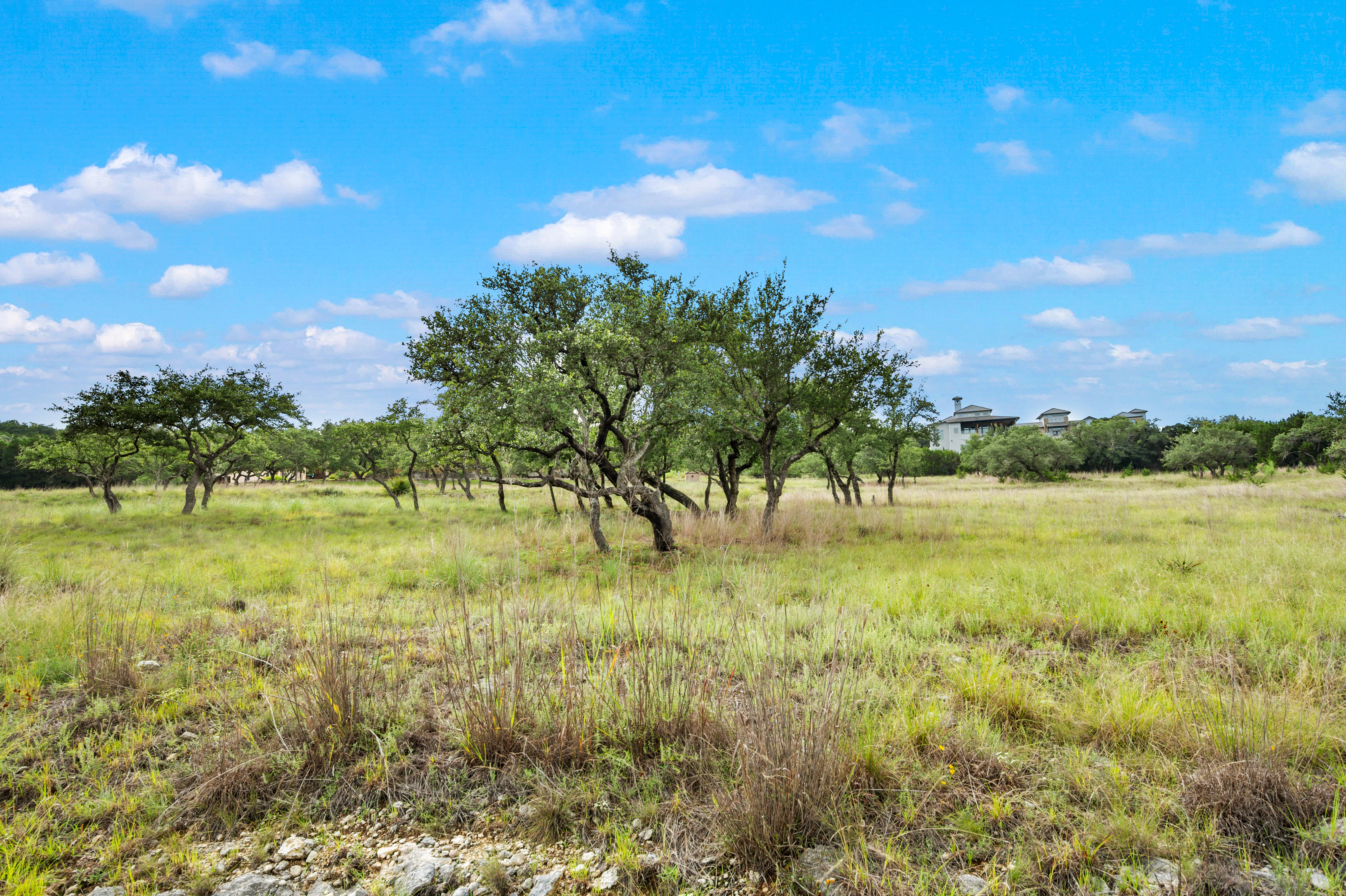  Premier Coveney Ranch Homesite - 物件實景