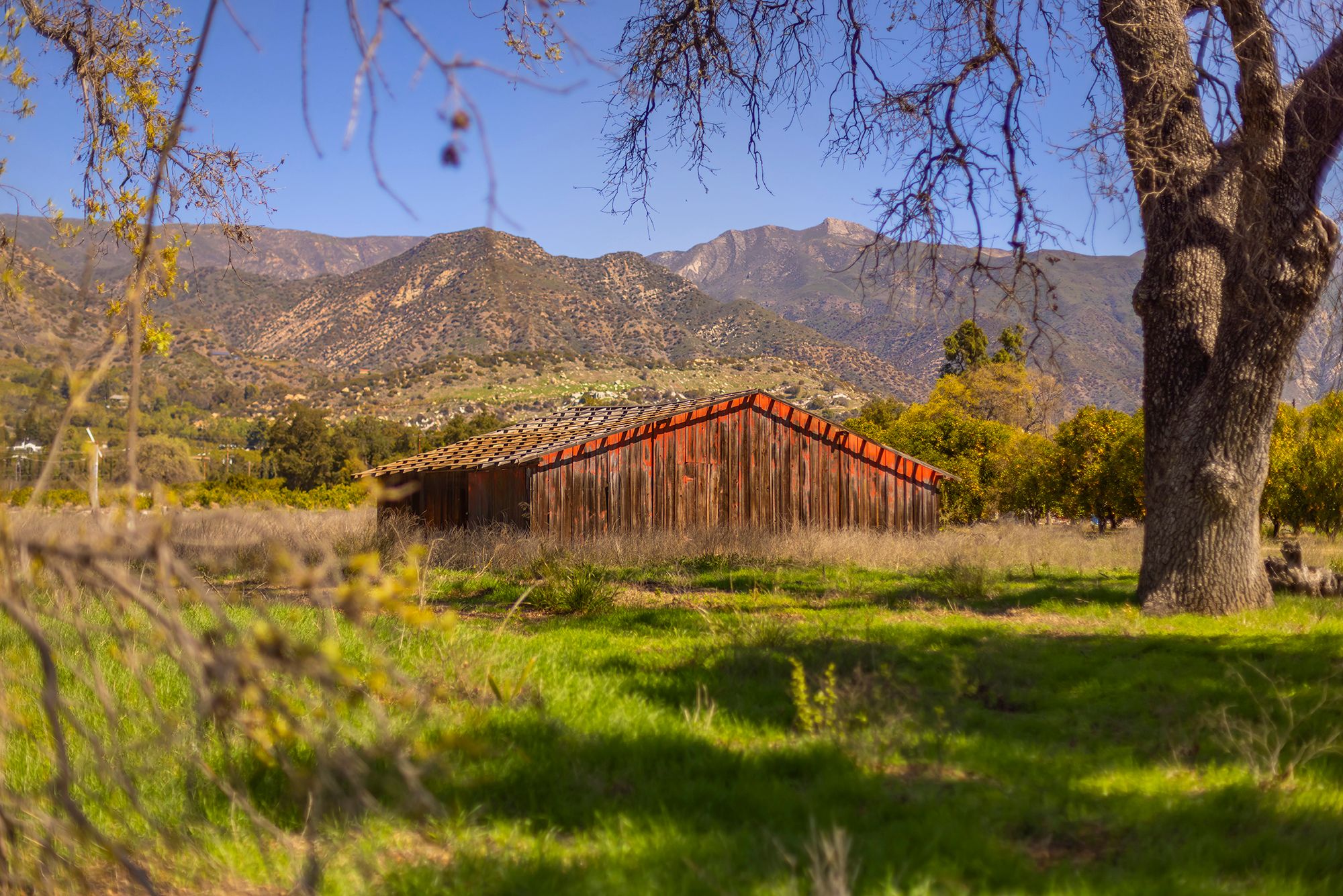  1201 Grand Avenue, Ojai, CA 93023 - 物件實景
