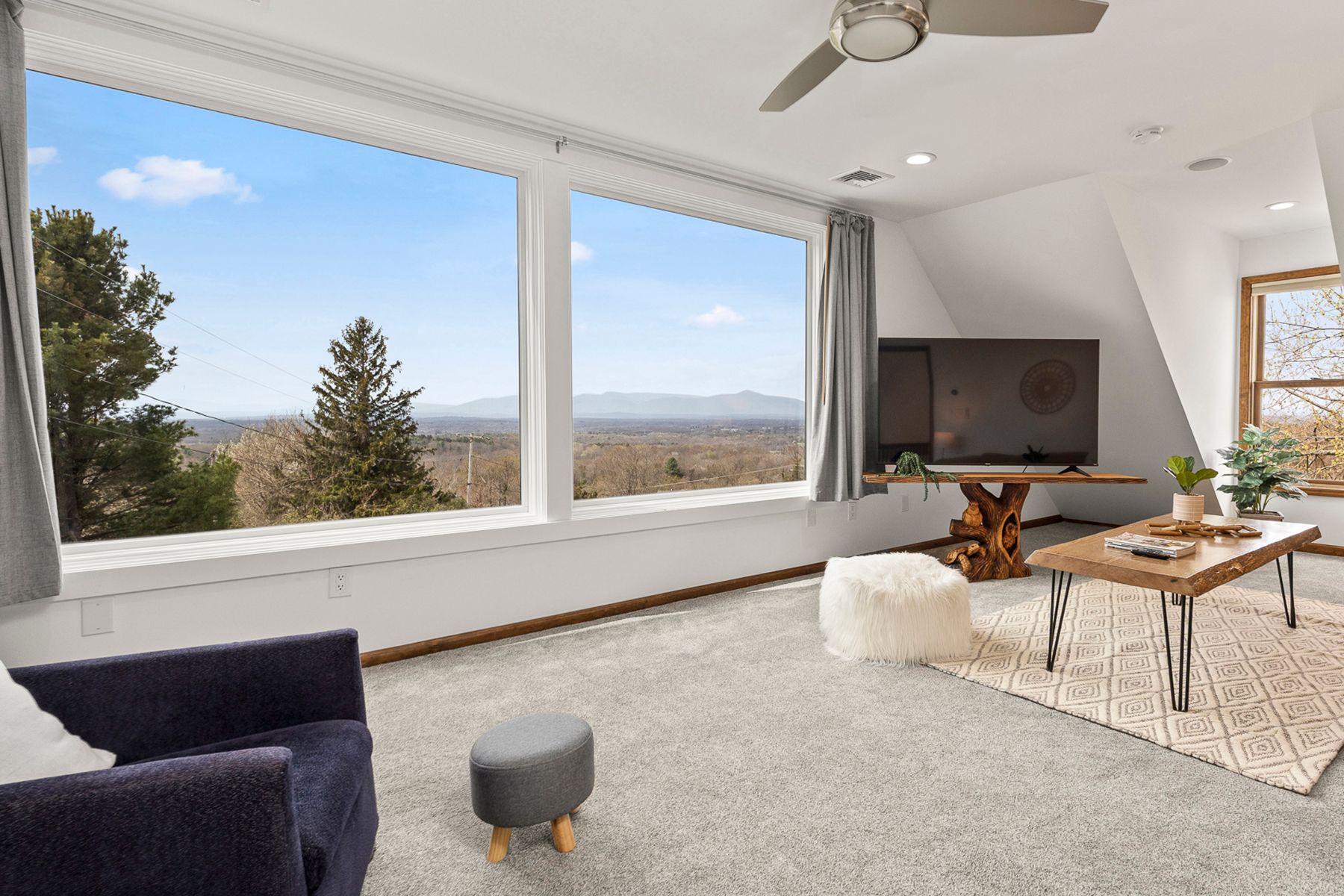  350 Taghkanic Road, Elizaville, NY 12523 - 物件實景