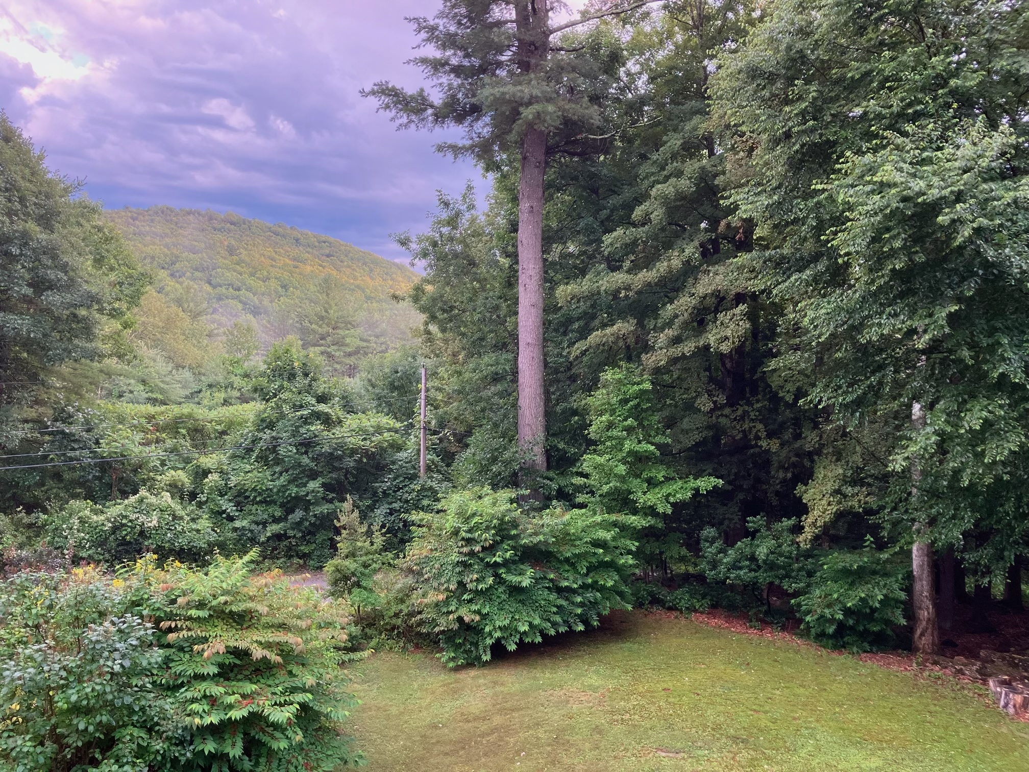  BUCOLIC COUNTRY SANCTUARY WITH MAJESTIC STONE FIREPLACE & DISTANT VIEWS - 物件實景