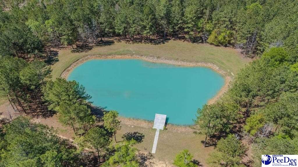 1315 Hill Harrell Road, Effingham, South Carolina, 29541-3179, United States, ,Land,For Sale,1315 Hill Harrell Road,1501598