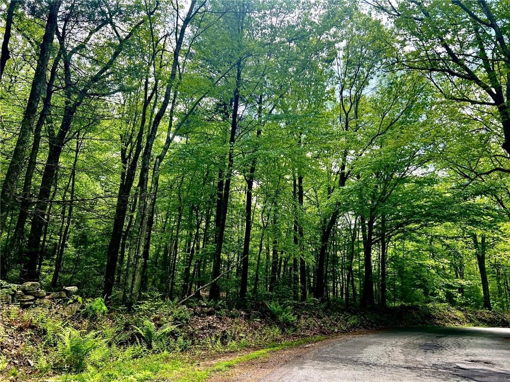 Smithfield, Rhode Island, 02859, United States, ,Land,For Sale,1987774