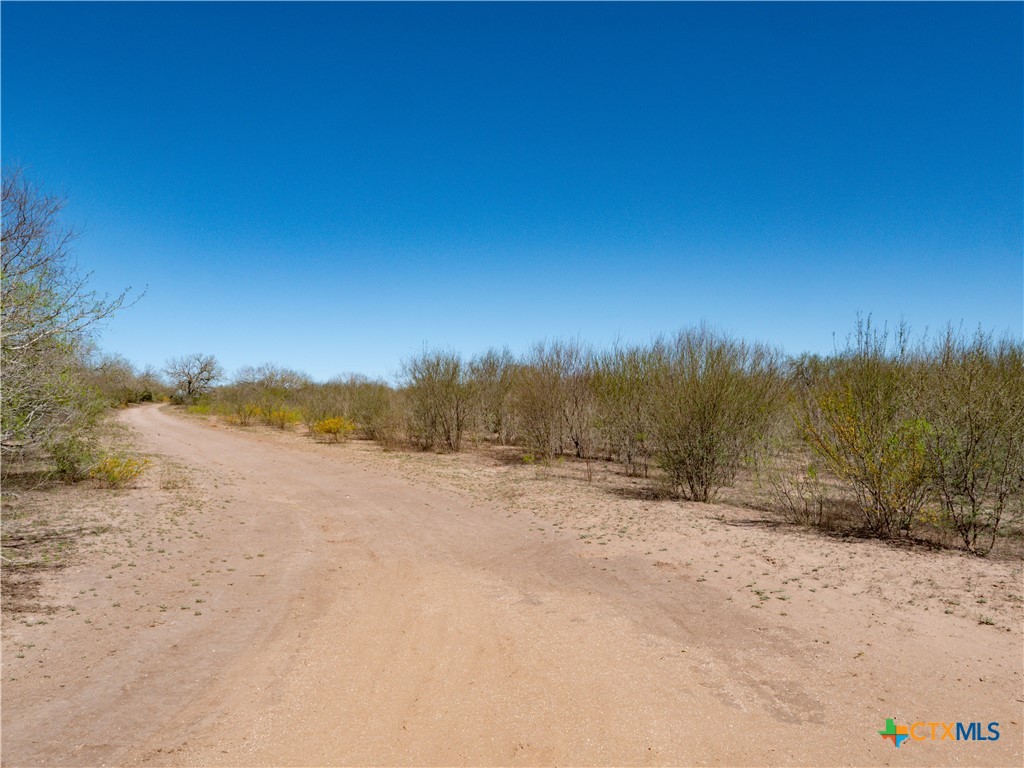 George West, Texas, 78022, United States, ,Land,For Sale,1738703