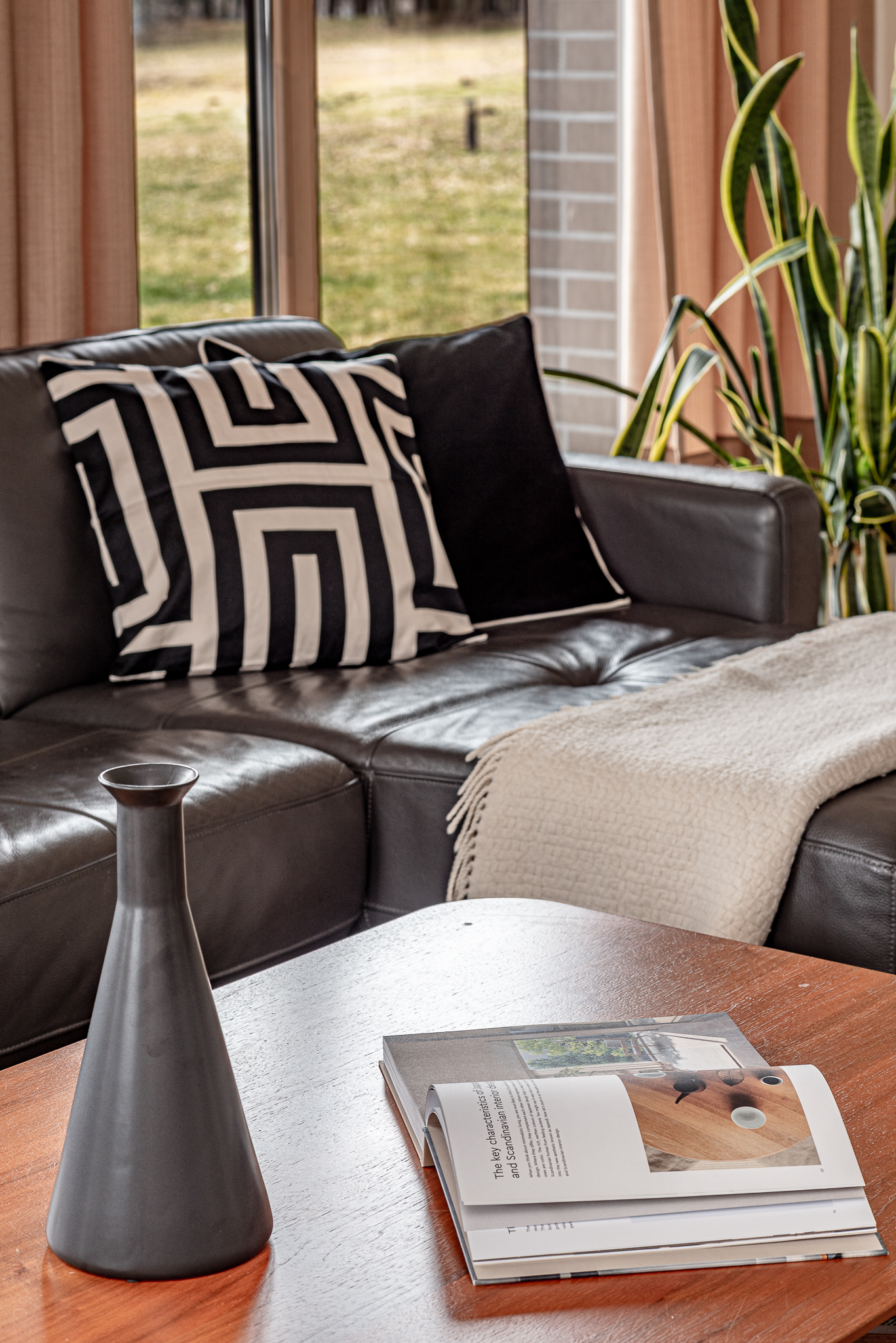  A spacious lakeshore residence near Druskininkai - 物件實景