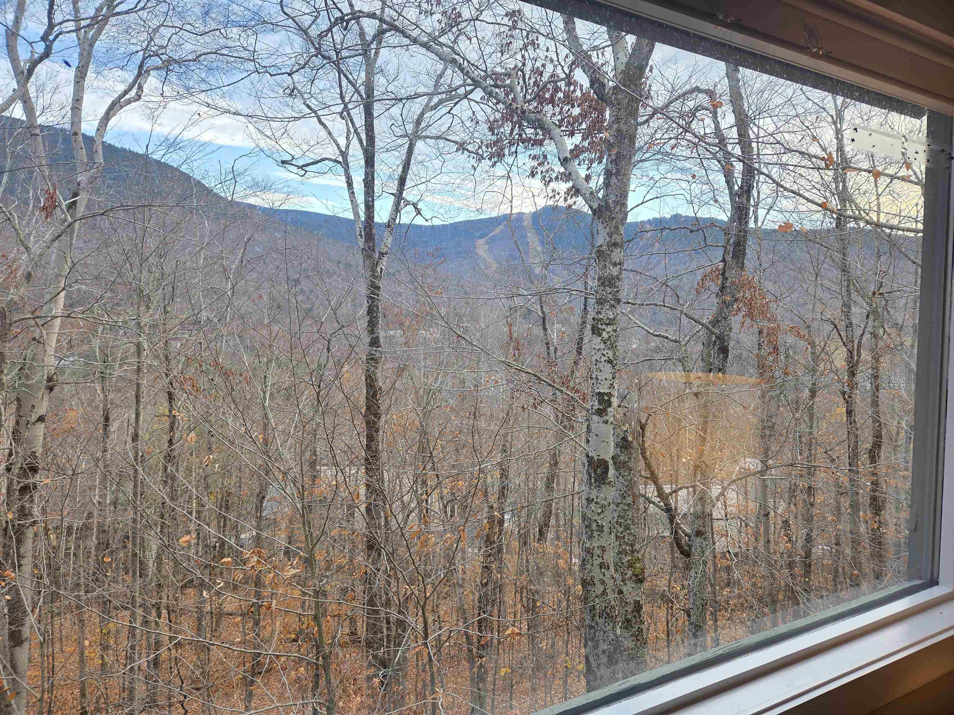 Lincoln, New Hampshire, 03251, United States, 3 Bedrooms Bedrooms, ,2 BathroomsBathrooms,Residential,For Sale,1987969