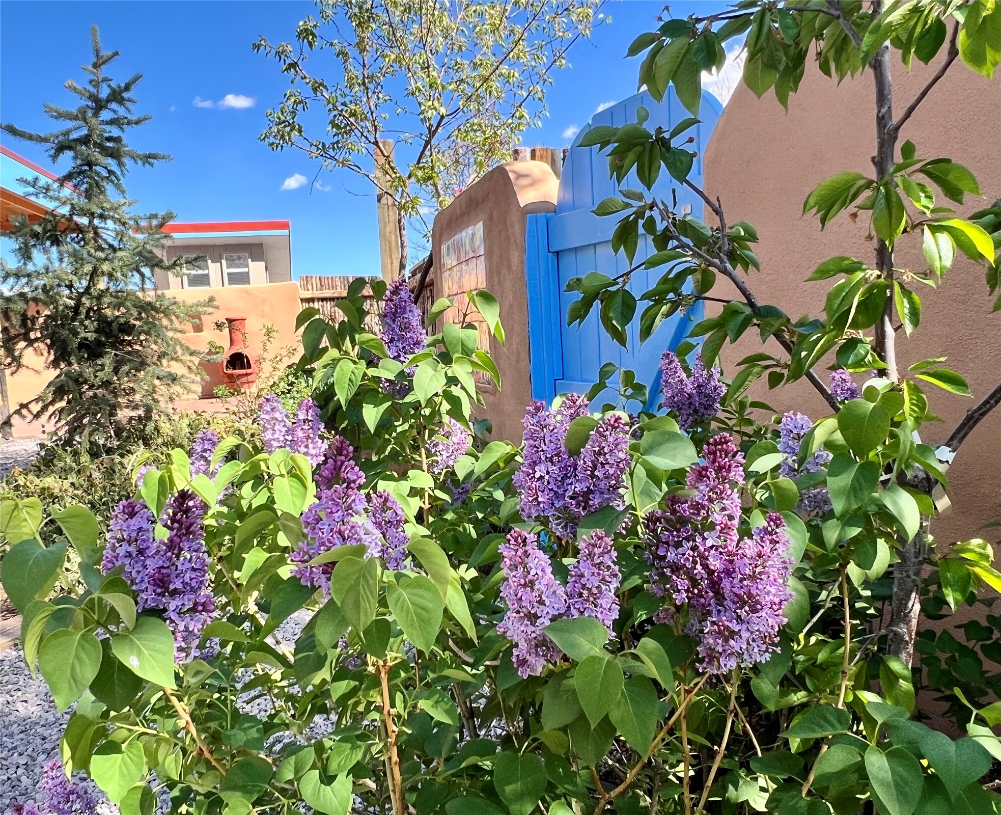  62 Encantado Loop - 物件實景