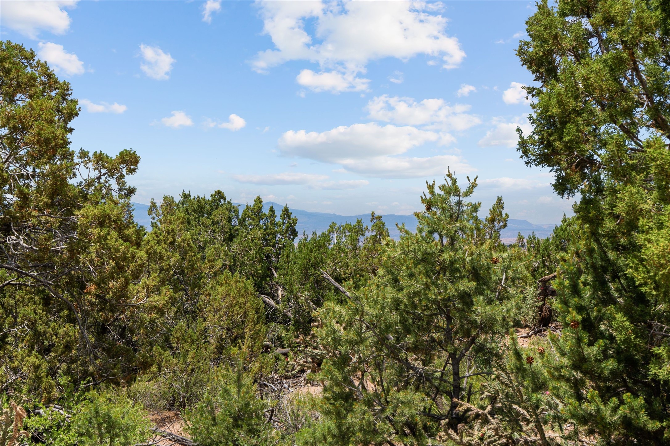  47 Pacheco Meadow Lane - 物件實景