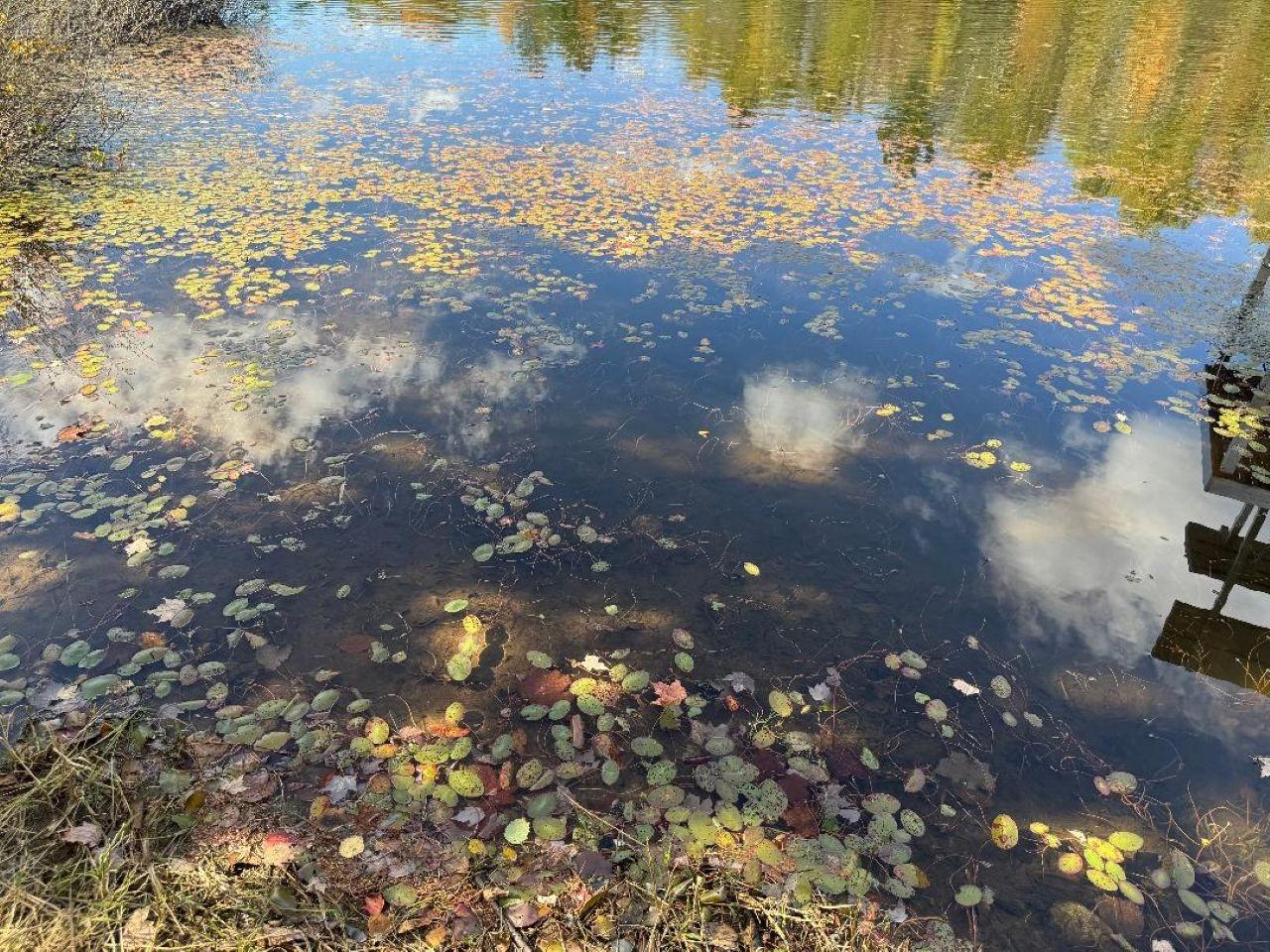 Eisenstein, Wisconsin, 54552, United States, 4 Bedrooms Bedrooms, ,3 BathroomsBathrooms,Residential,For Sale,1974419