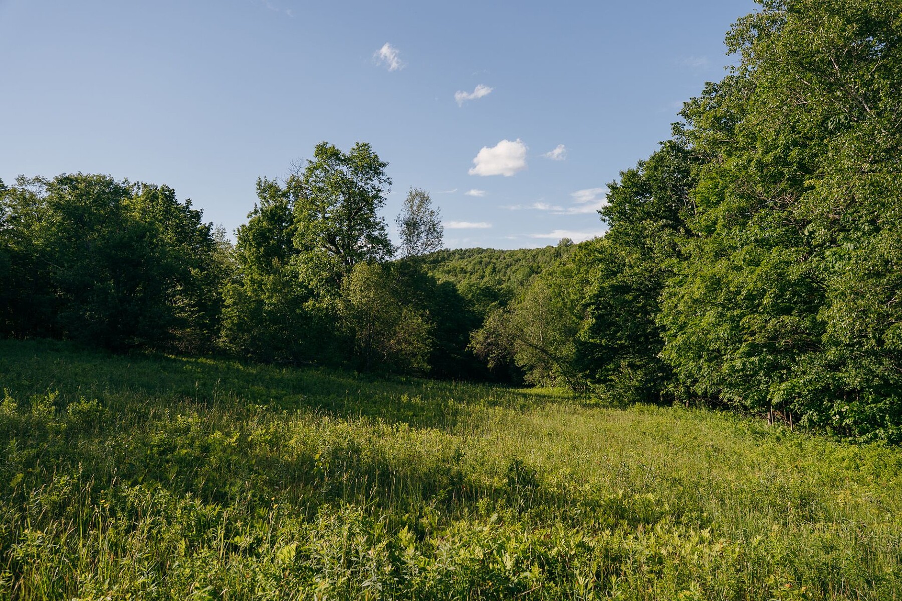  Sutton, Eastern Townships - 物件實景