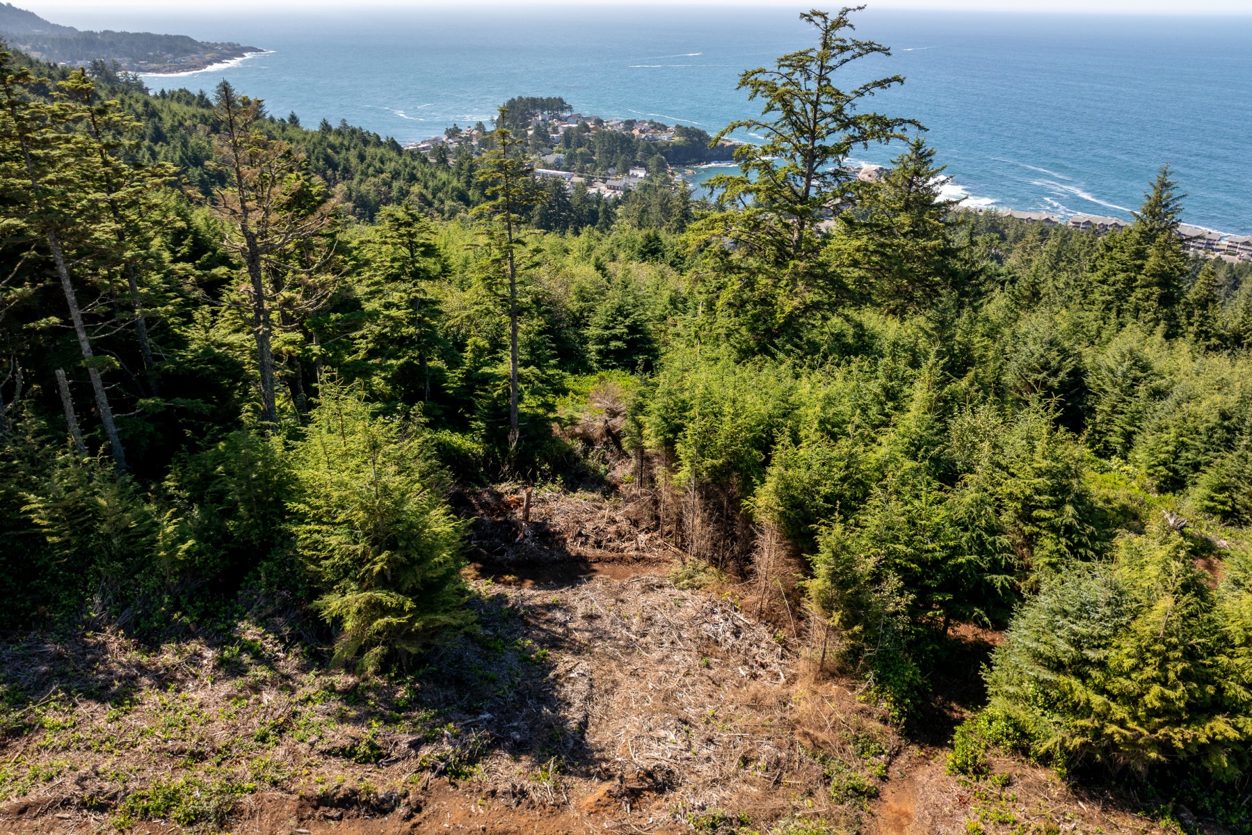  NE Marmoris AVE #Lot 54 Depoe Bay, OR 97341 - 物件實景