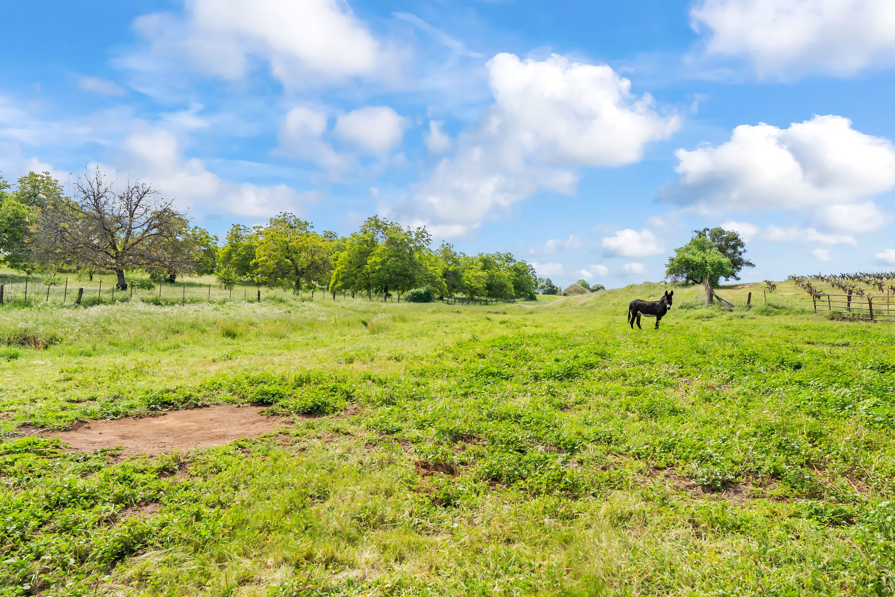  107 Acres - Seasonal Creek - Legacy - 物件實景