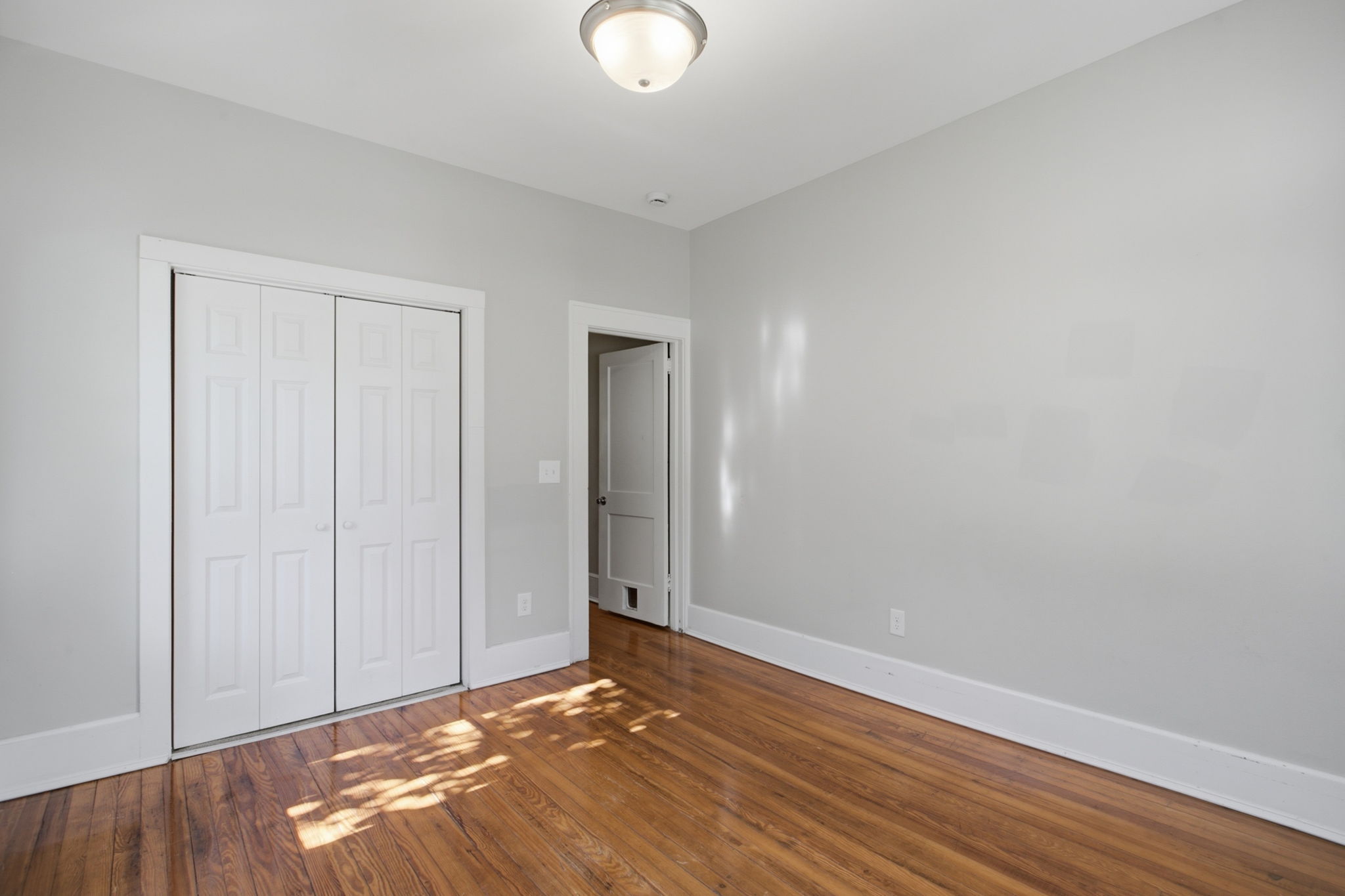  19 David Street, Greenville, SC 29609 - 物件實景