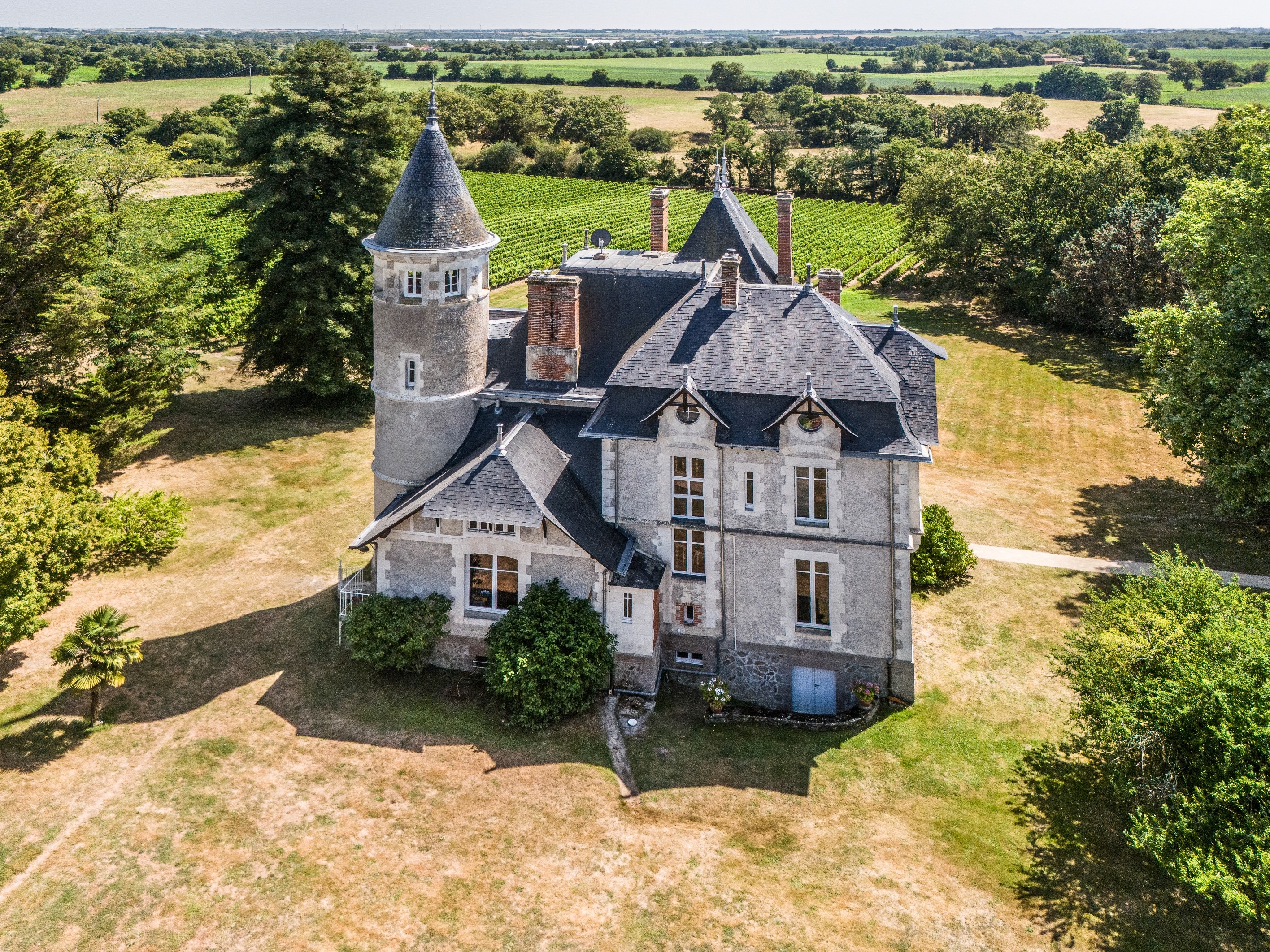  Elegant 19th château with guesthouses and vineyard - 物件實景