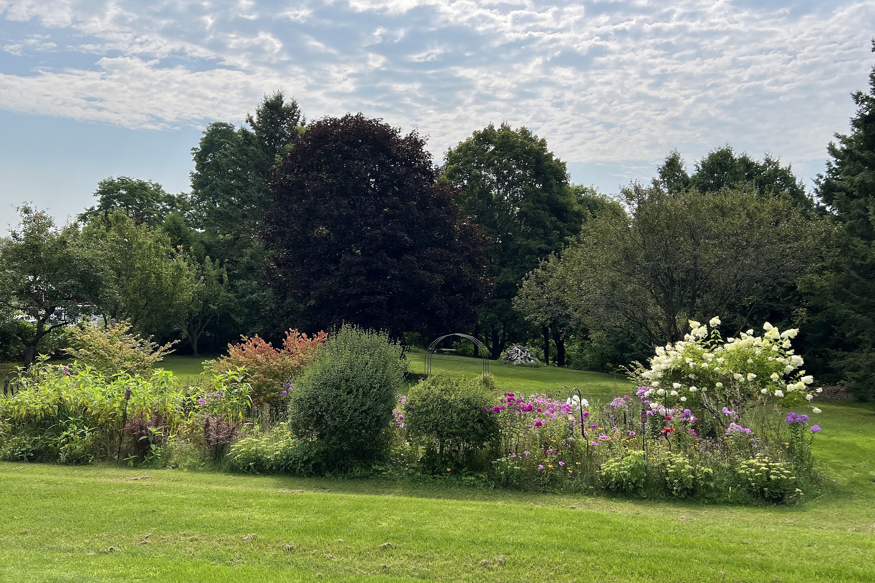  Warkworth Country Retreat - 物件實景