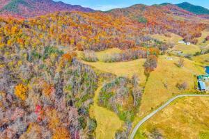 Fincastle, Virginia, 24090, United States, ,Residential,For Sale,1989448