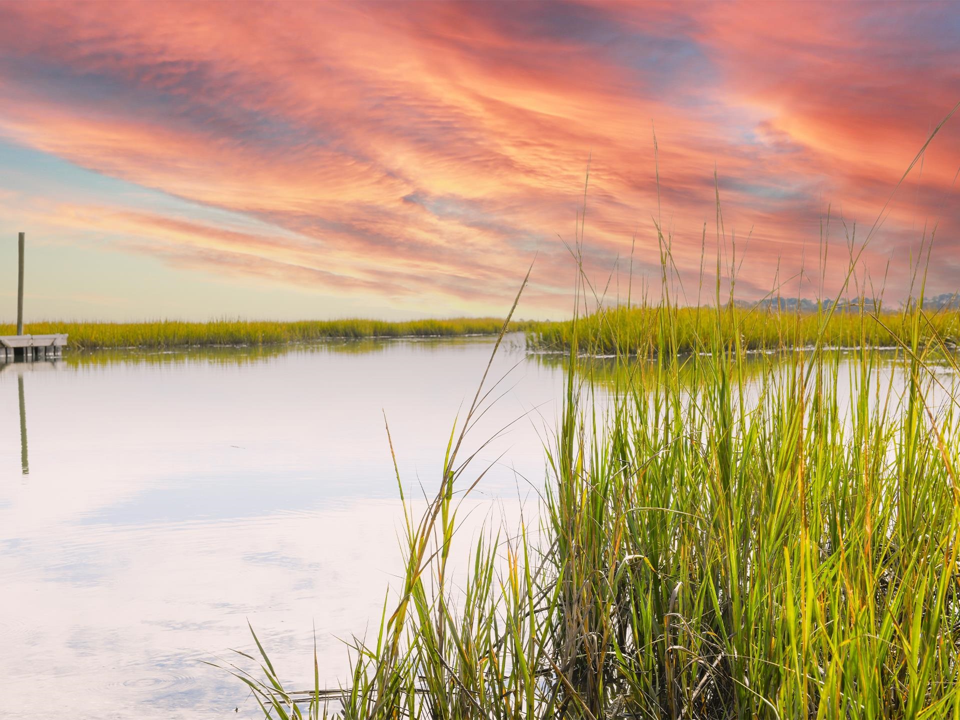  5 Turnbridge Court  Murrells Inlet, SC - 物件實景