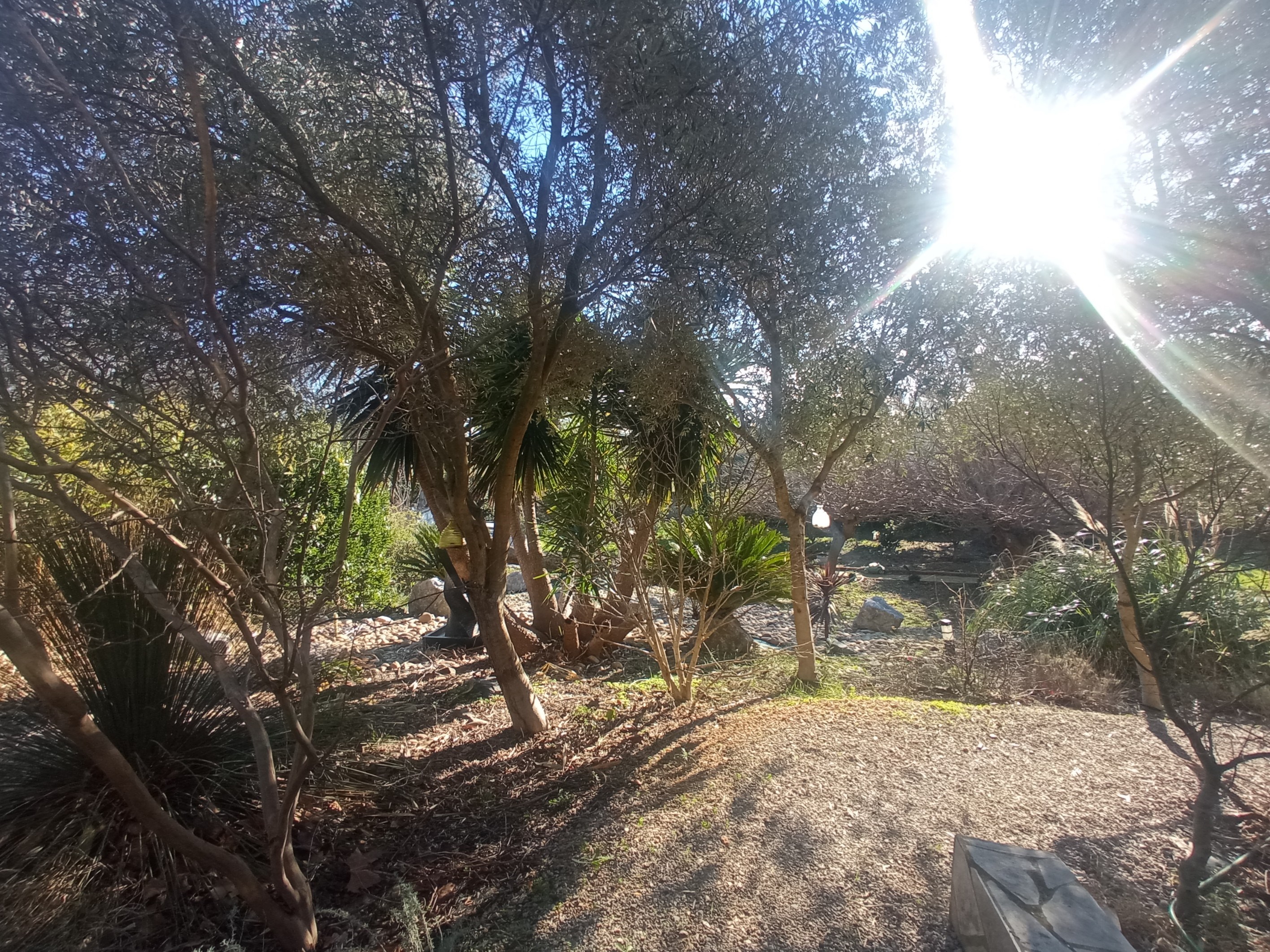  FORMER HUNTING LODGE, A GEM NEAR THE CANAL DU MIDI - 物件實景