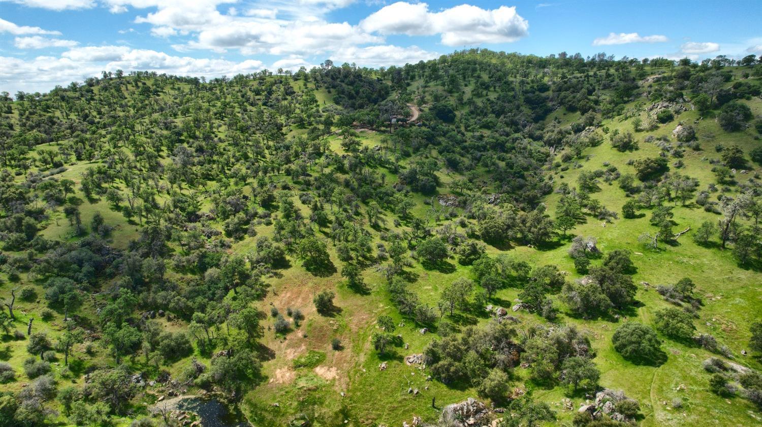 Coarsegold, California, 93614, United States, 3 Bedrooms Bedrooms, ,2 BathroomsBathrooms,Residential,For Sale,2006317